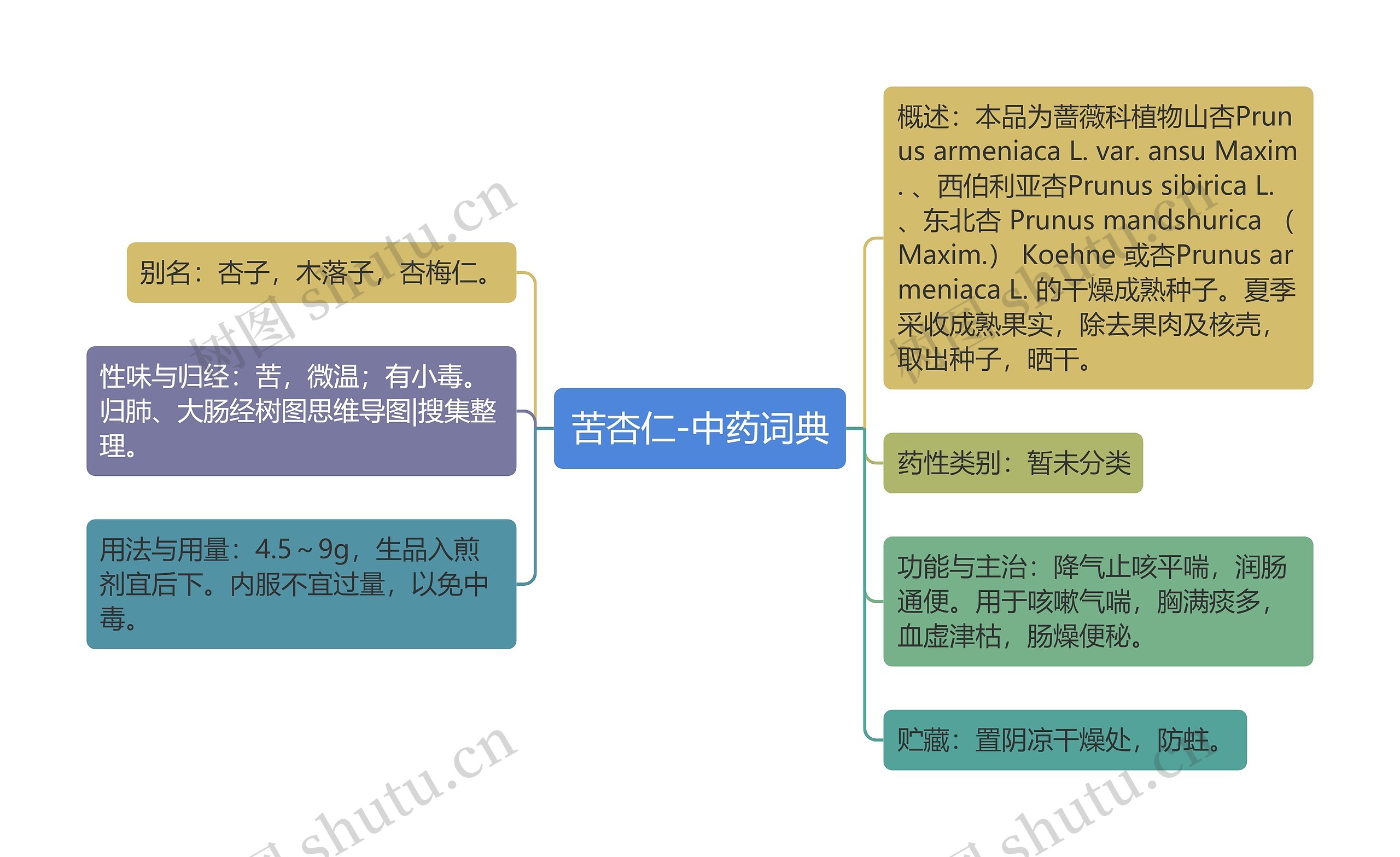 苦杏仁-中药词典