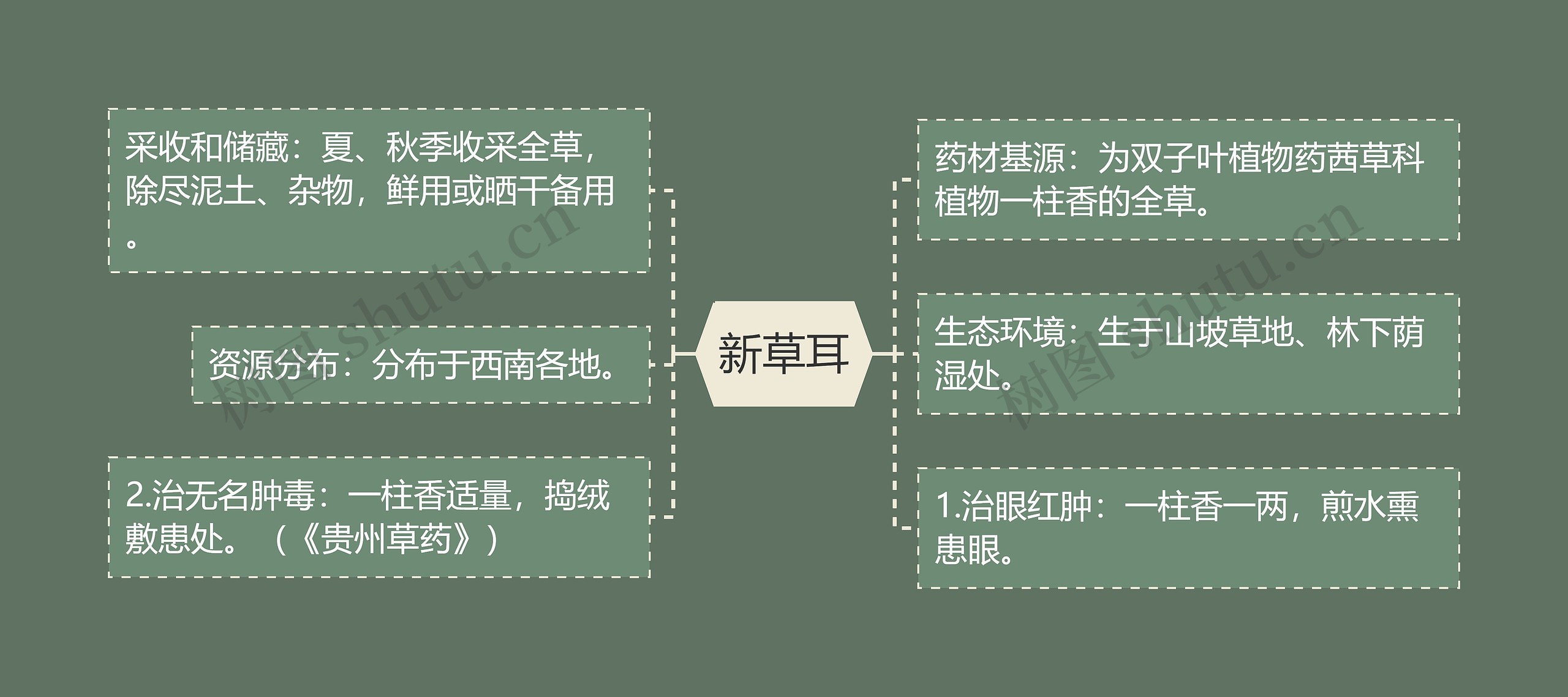 新草耳