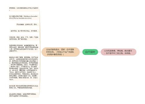 白千层叶