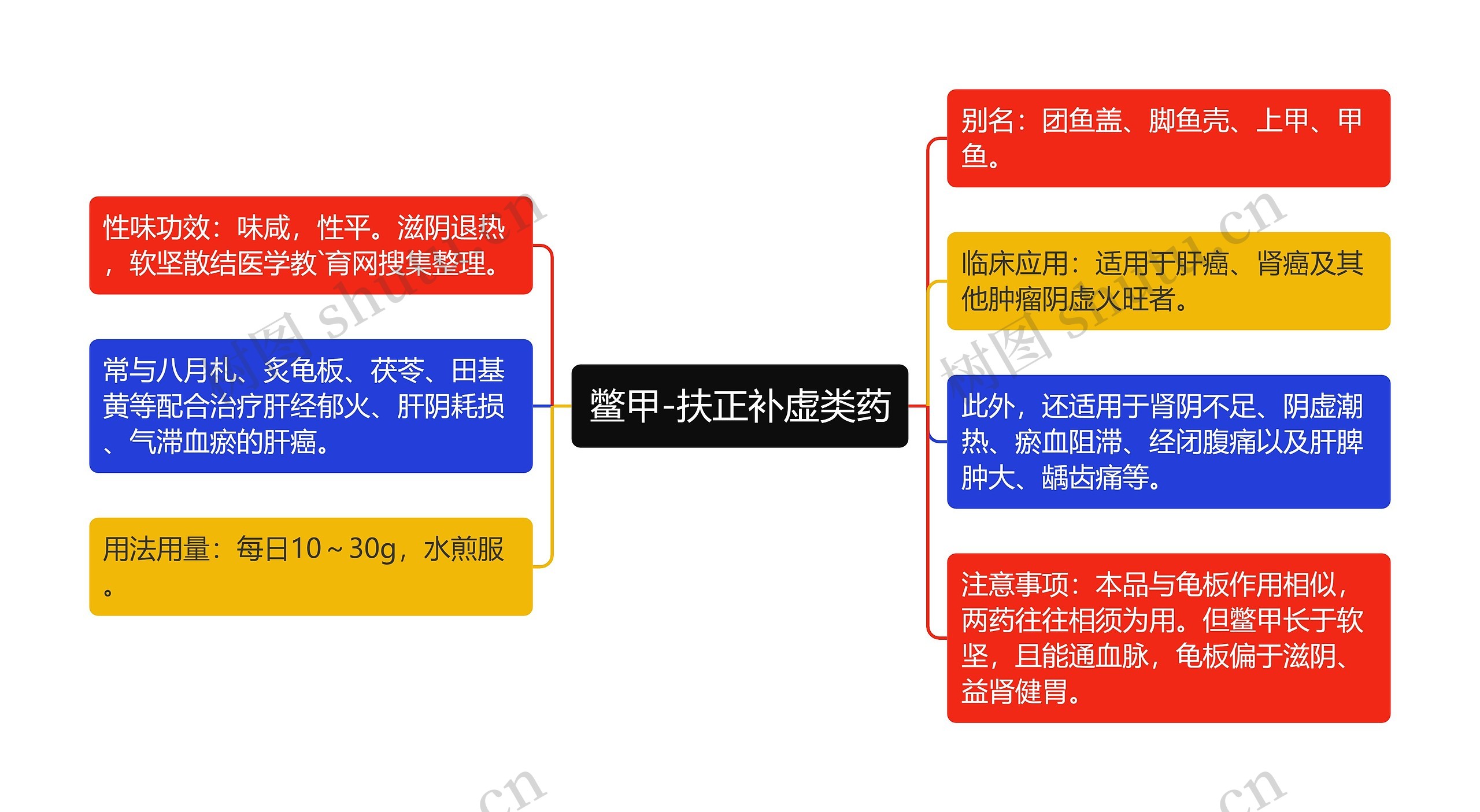 鳖甲-扶正补虚类药思维导图