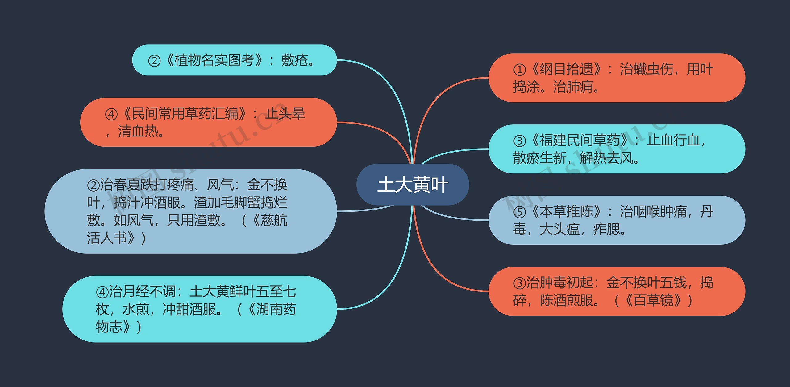 土大黄叶思维导图