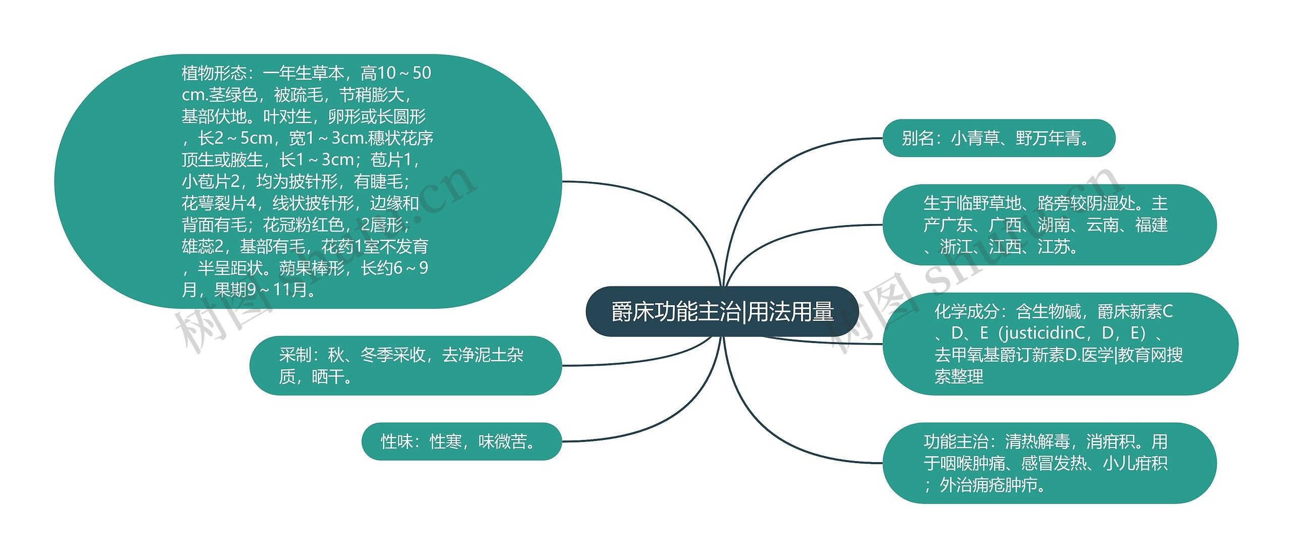 爵床功能主治|用法用量思维导图