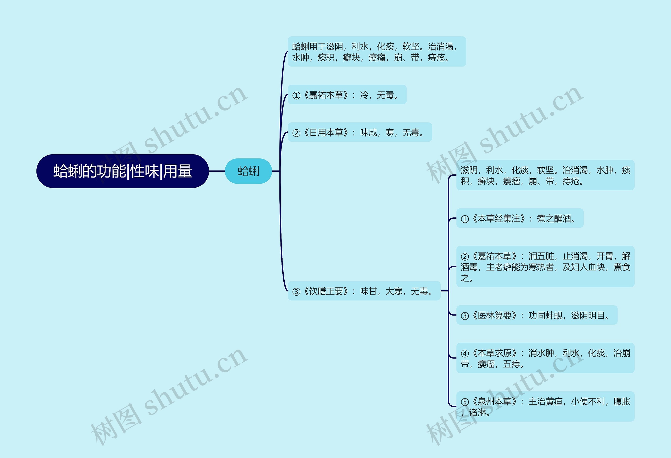 蛤蜊的功能|性味|用量思维导图