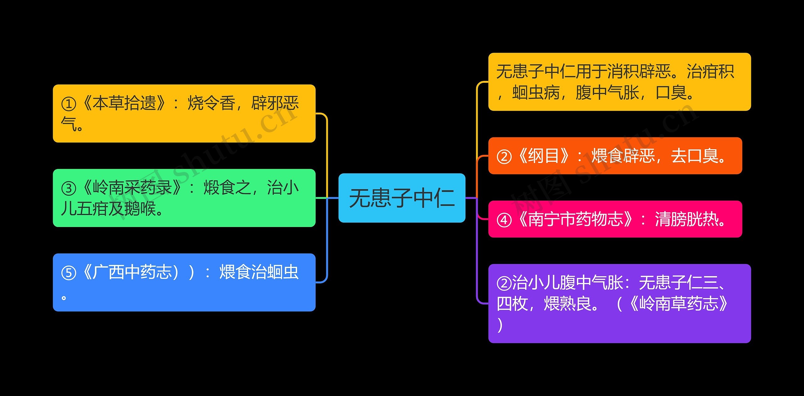 无患子中仁思维导图