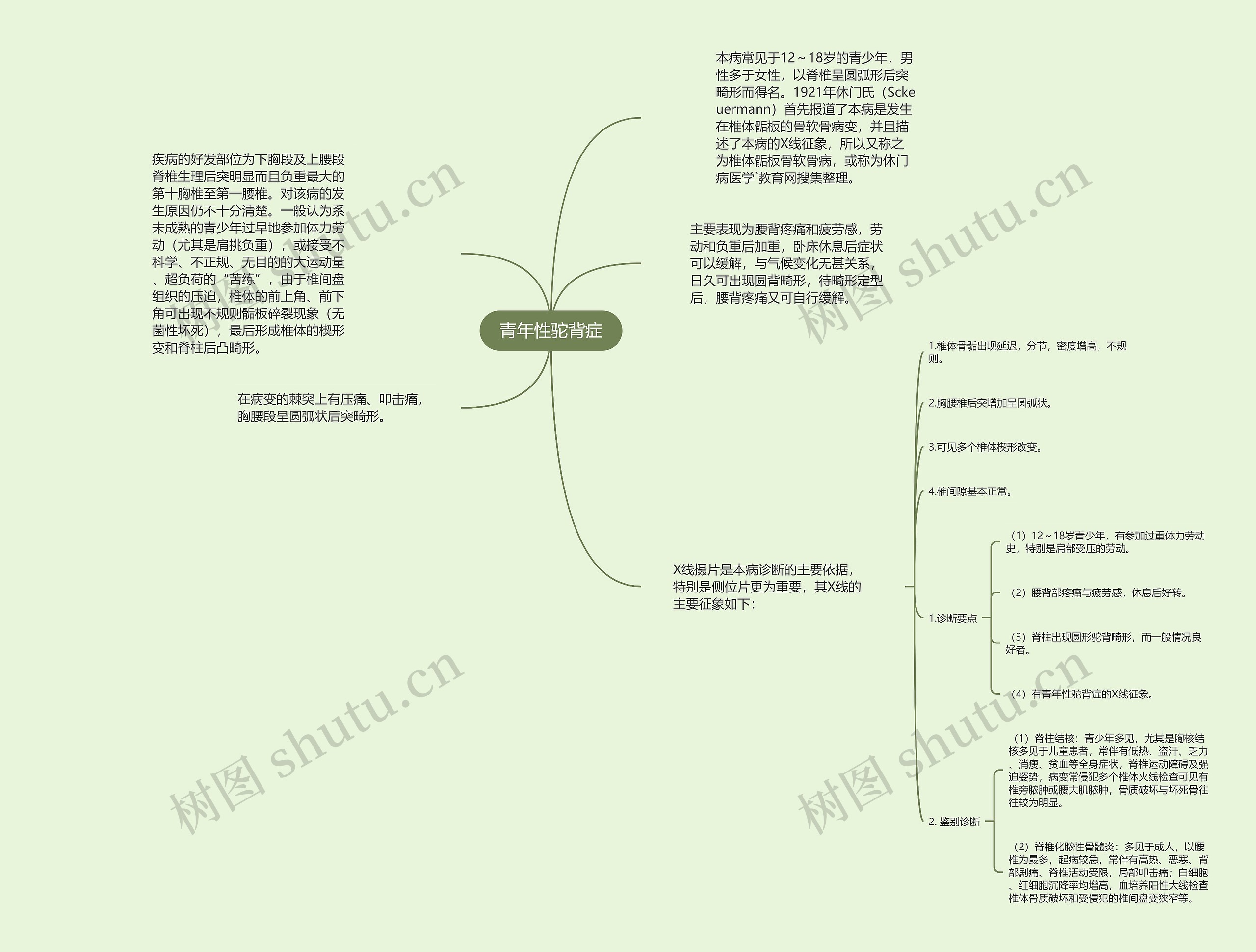 青年性驼背症思维导图