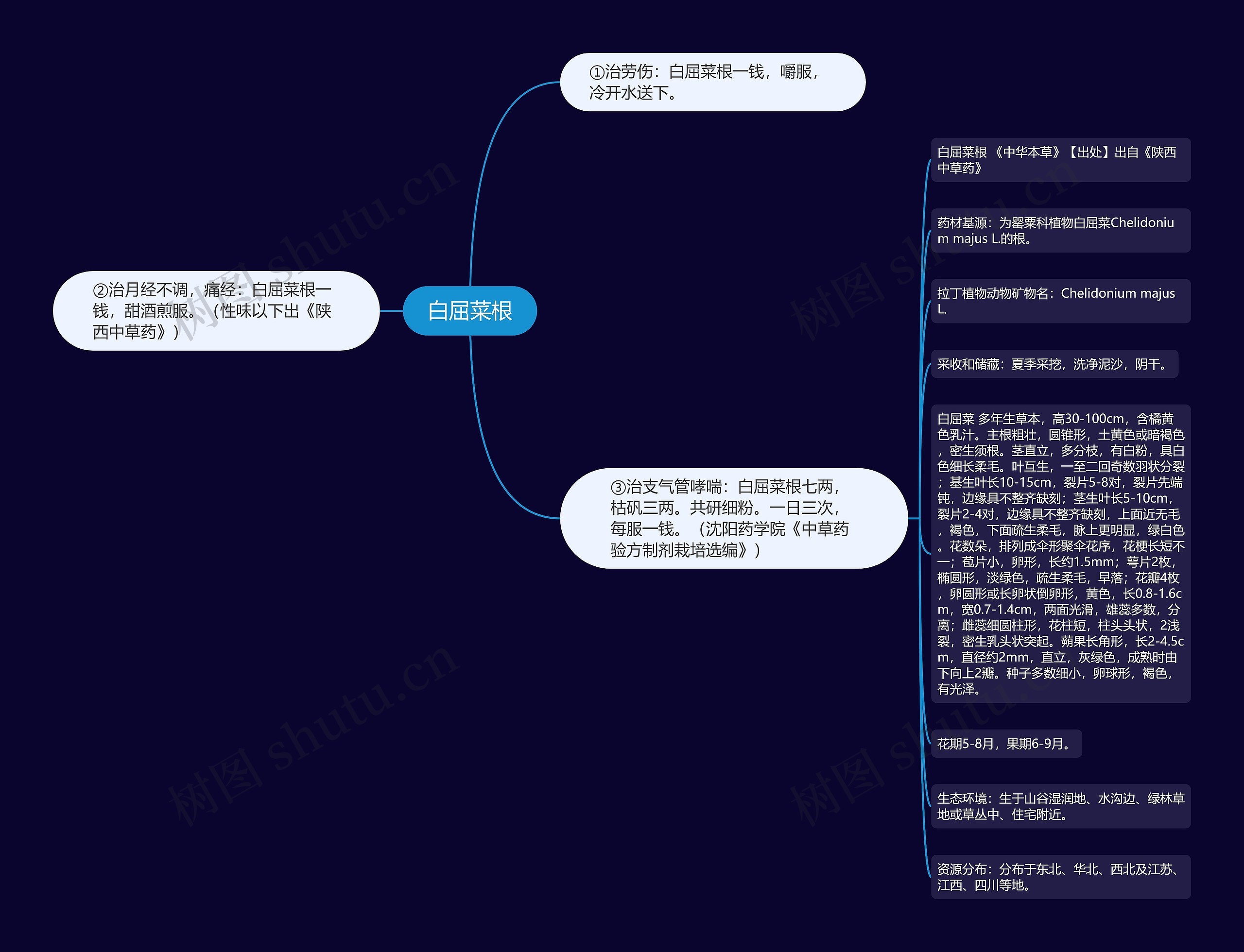 白屈菜根 白屈菜根