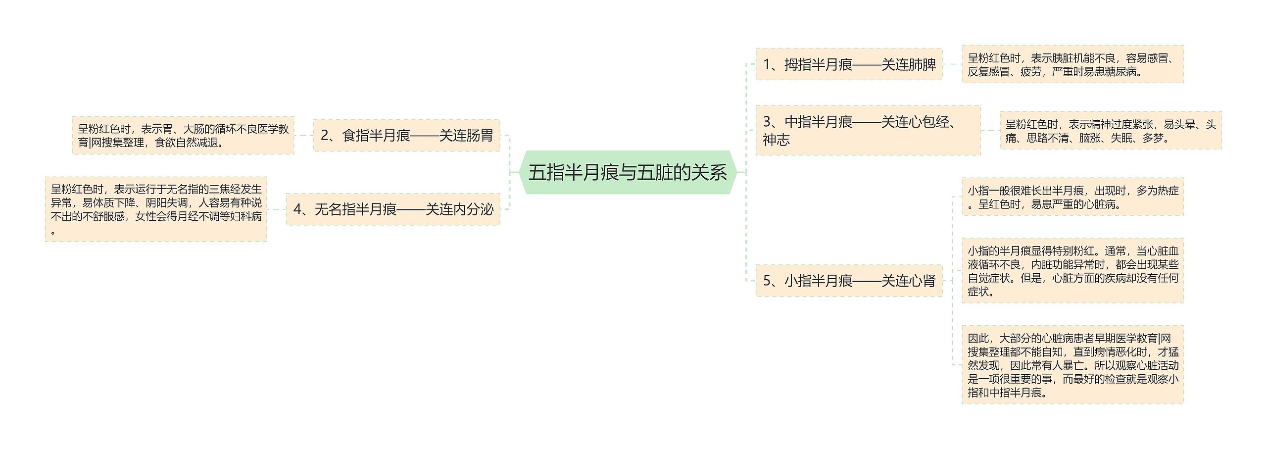 五指半月痕与五脏的关系思维导图