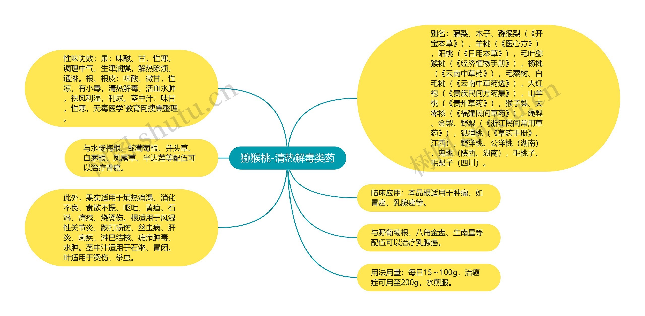 猕猴桃-清热解毒类药思维导图