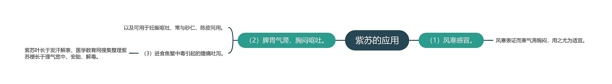 紫苏的应用思维导图