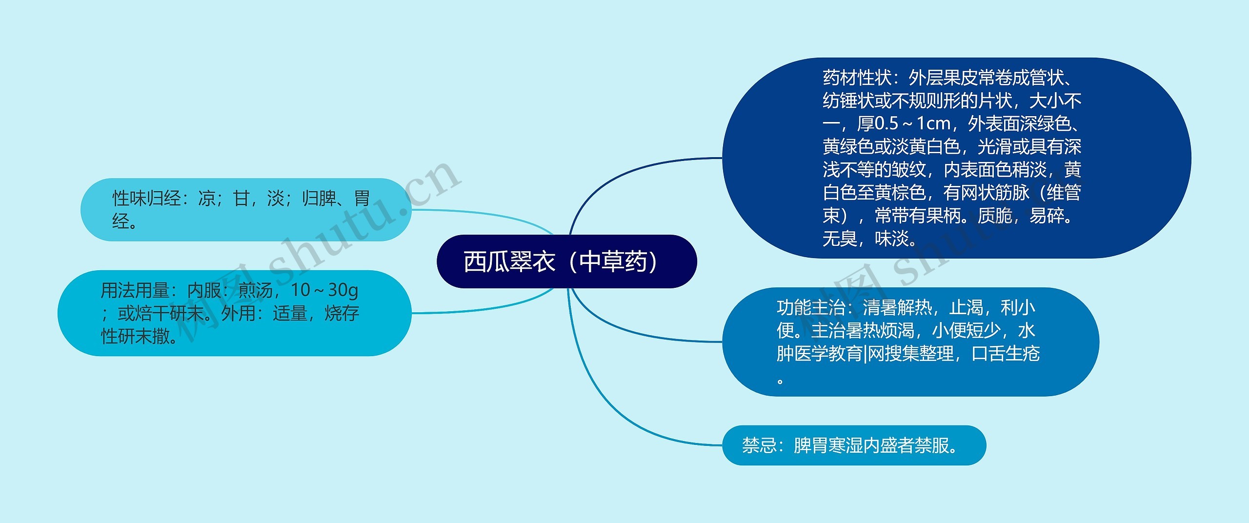 西瓜翠衣（中草药）思维导图