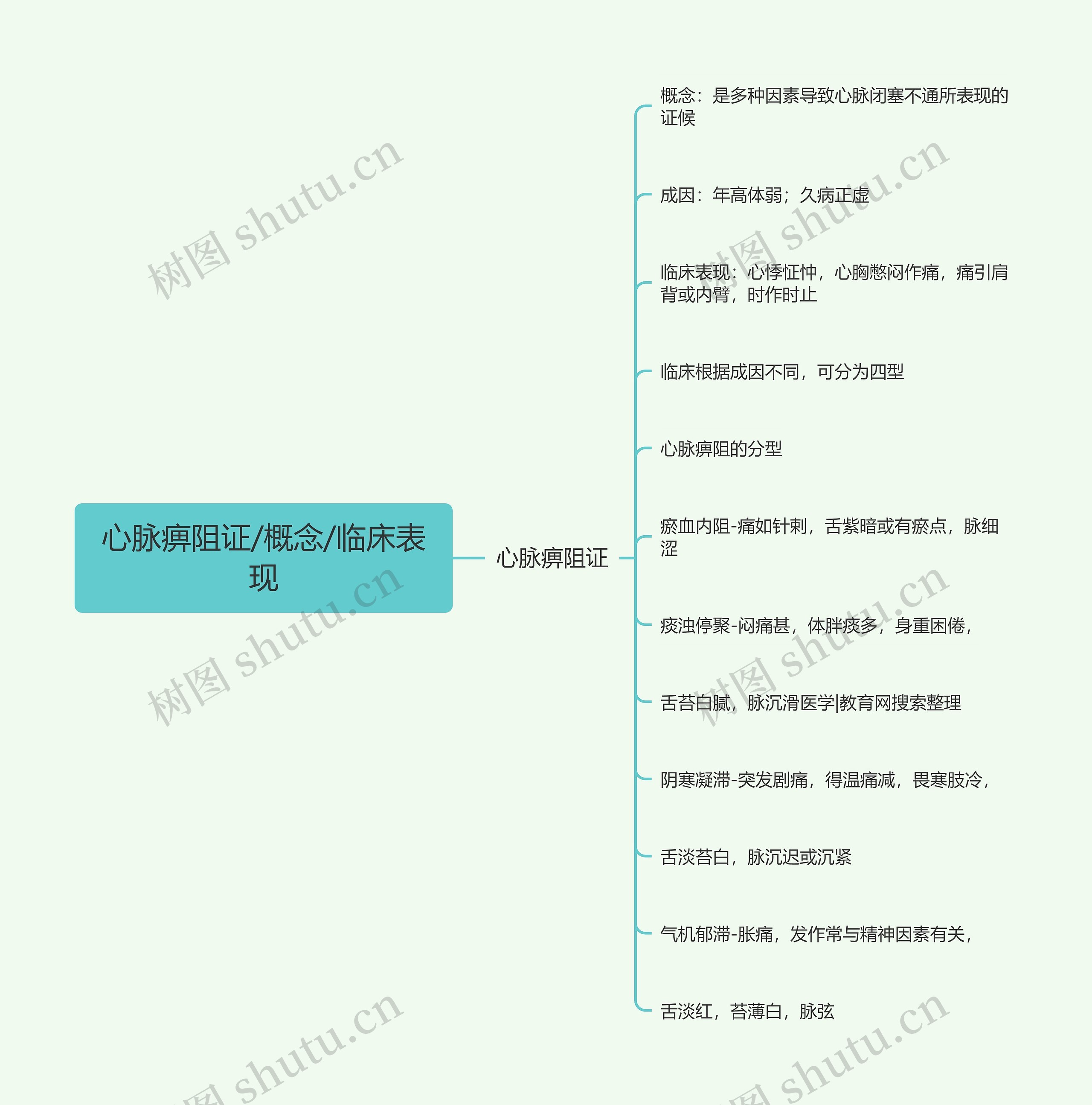 心脉痹阻证/概念/临床表现