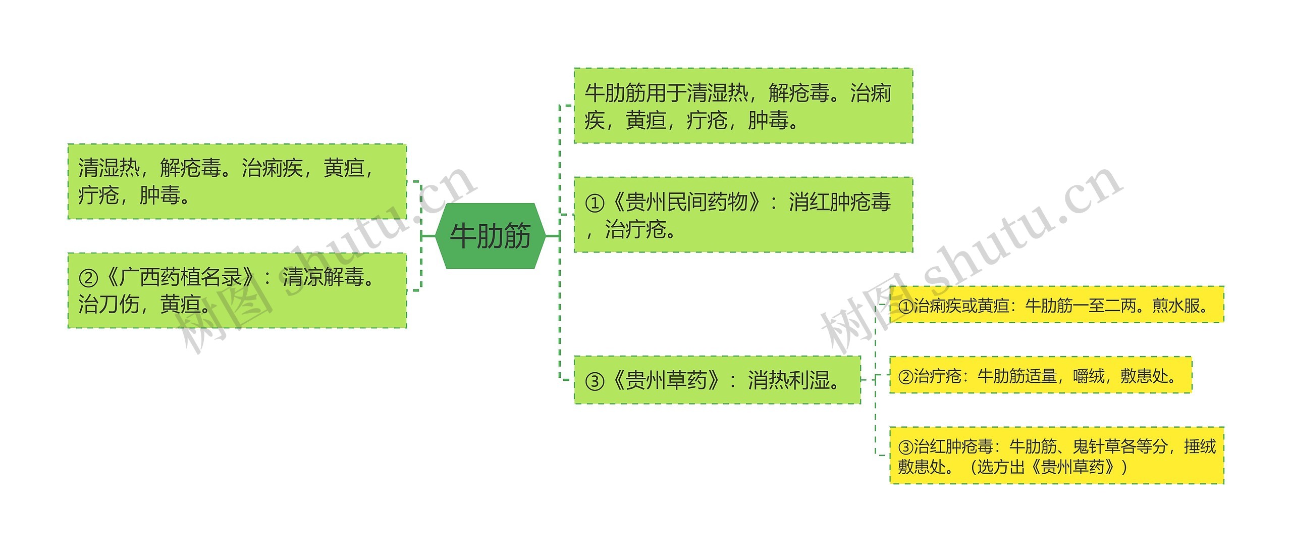 牛肋筋思维导图