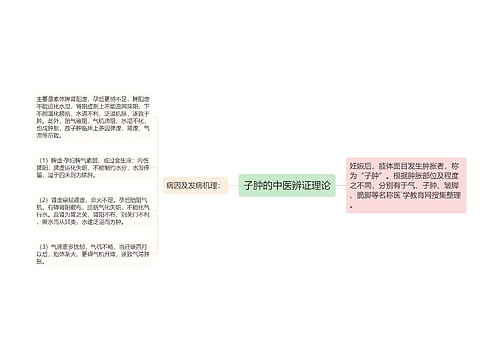 子肿的中医辨证理论