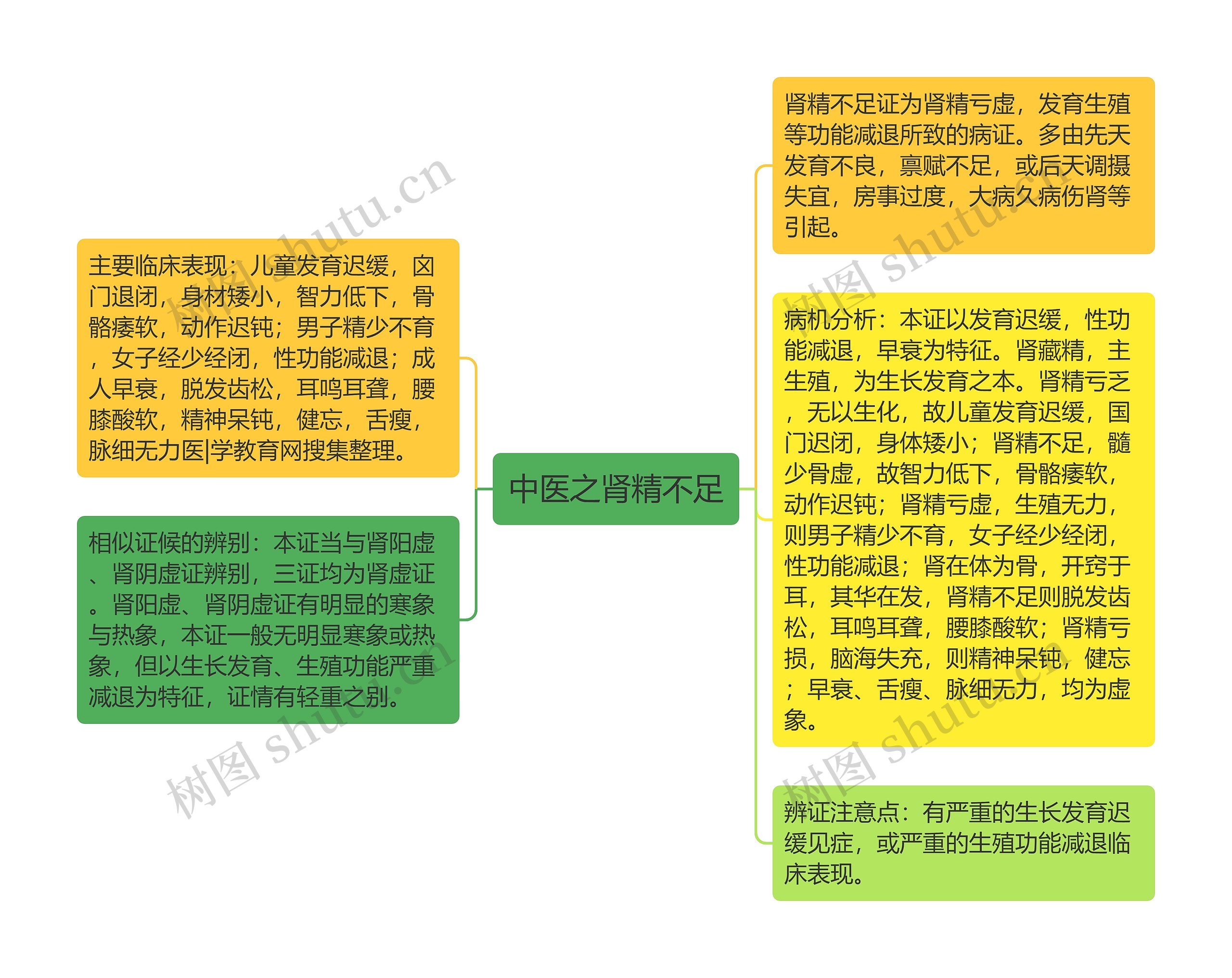 中医之肾精不足思维导图