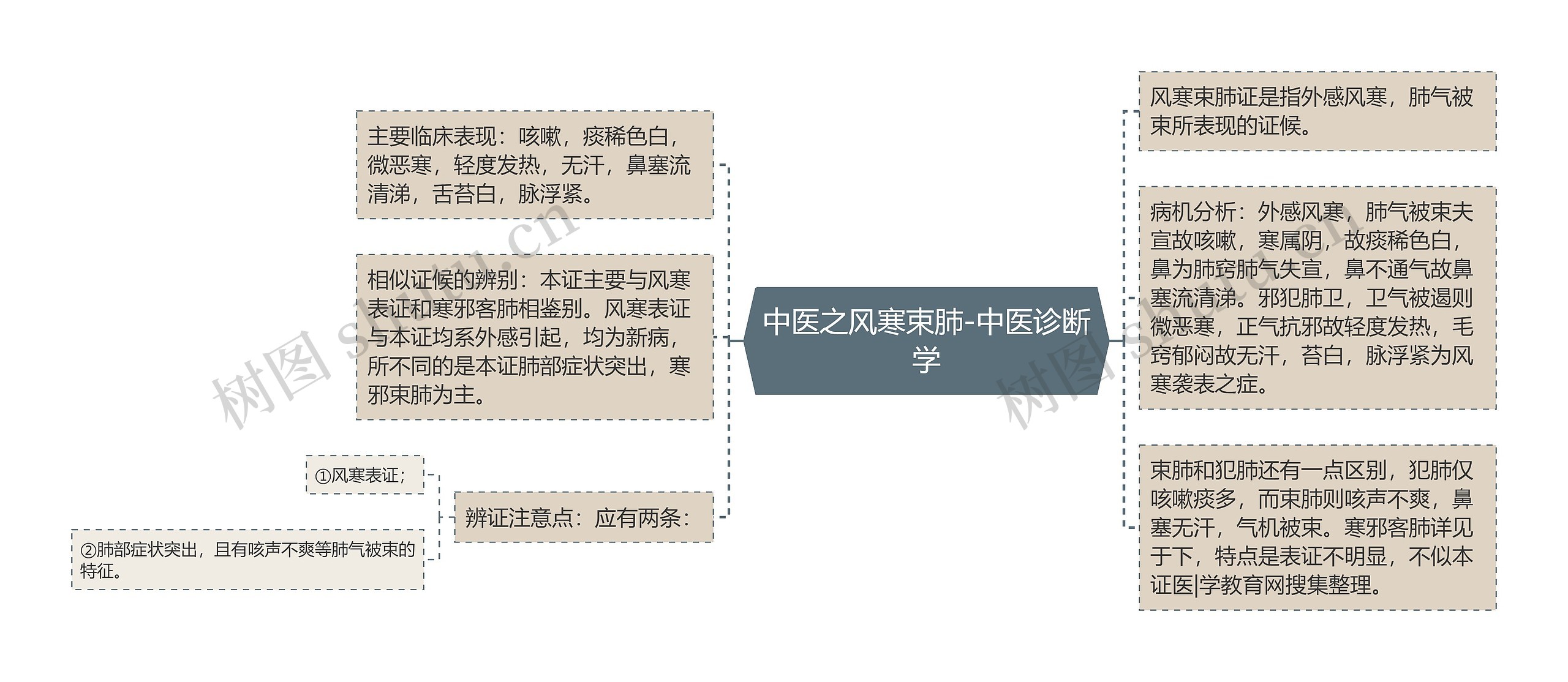 中医之风寒束肺-中医诊断学