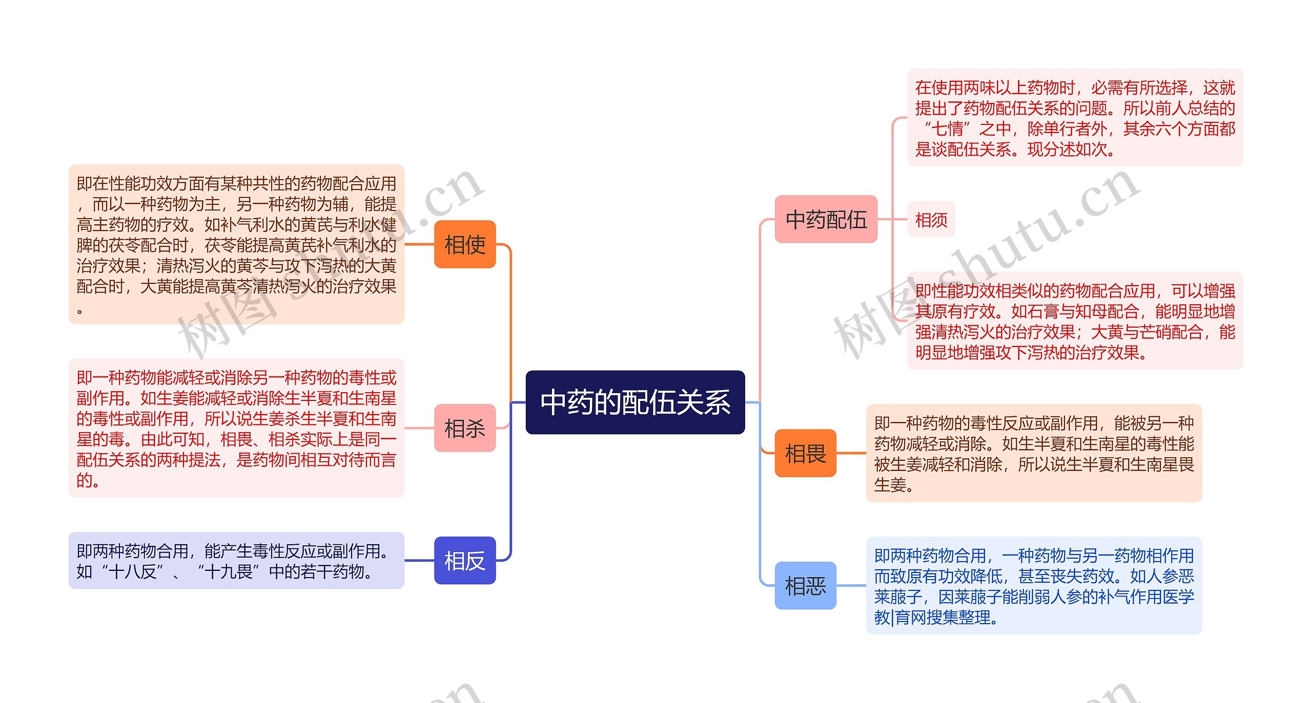 中药的配伍关系思维导图