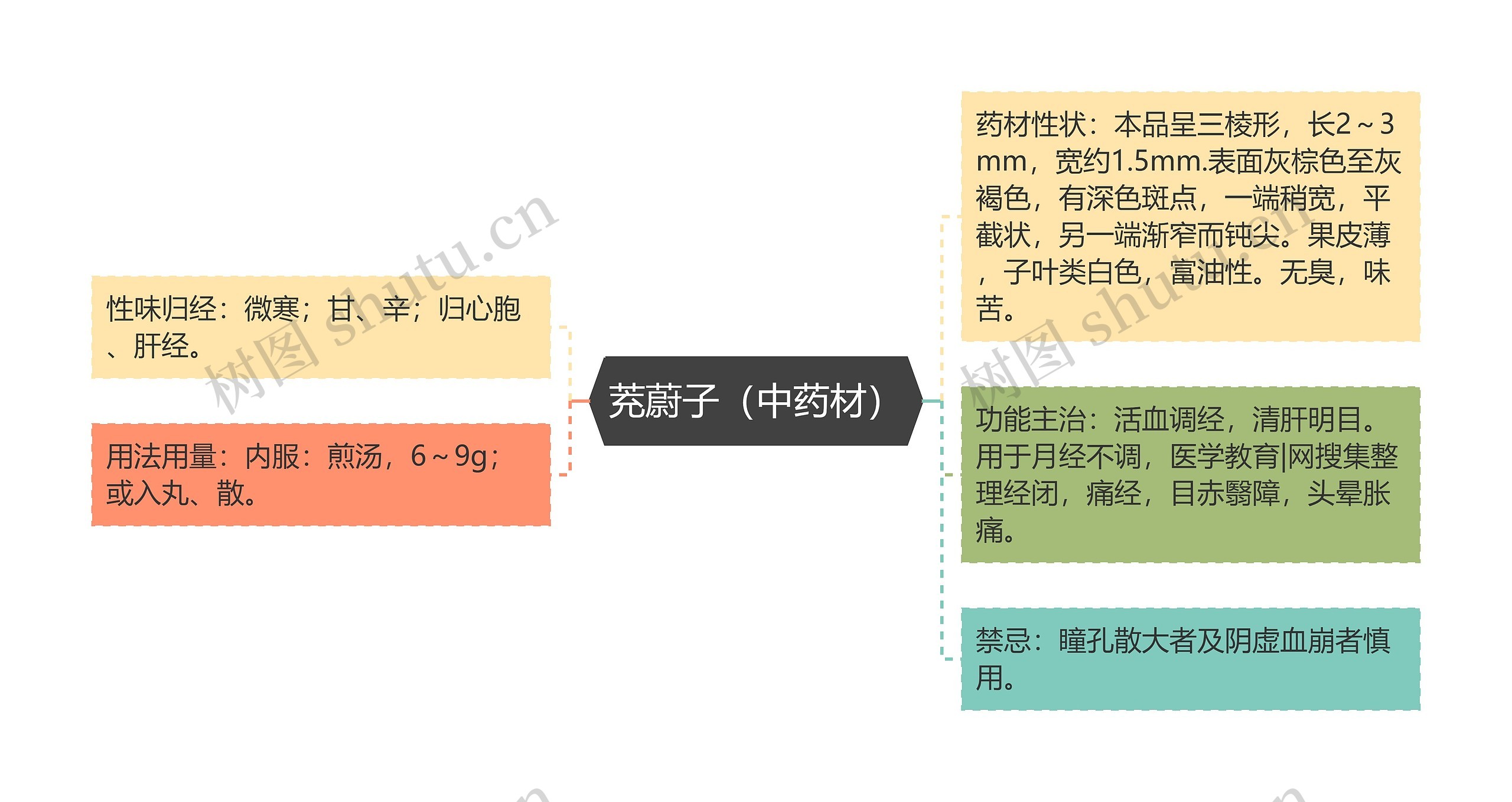 茺蔚子（中药材）思维导图