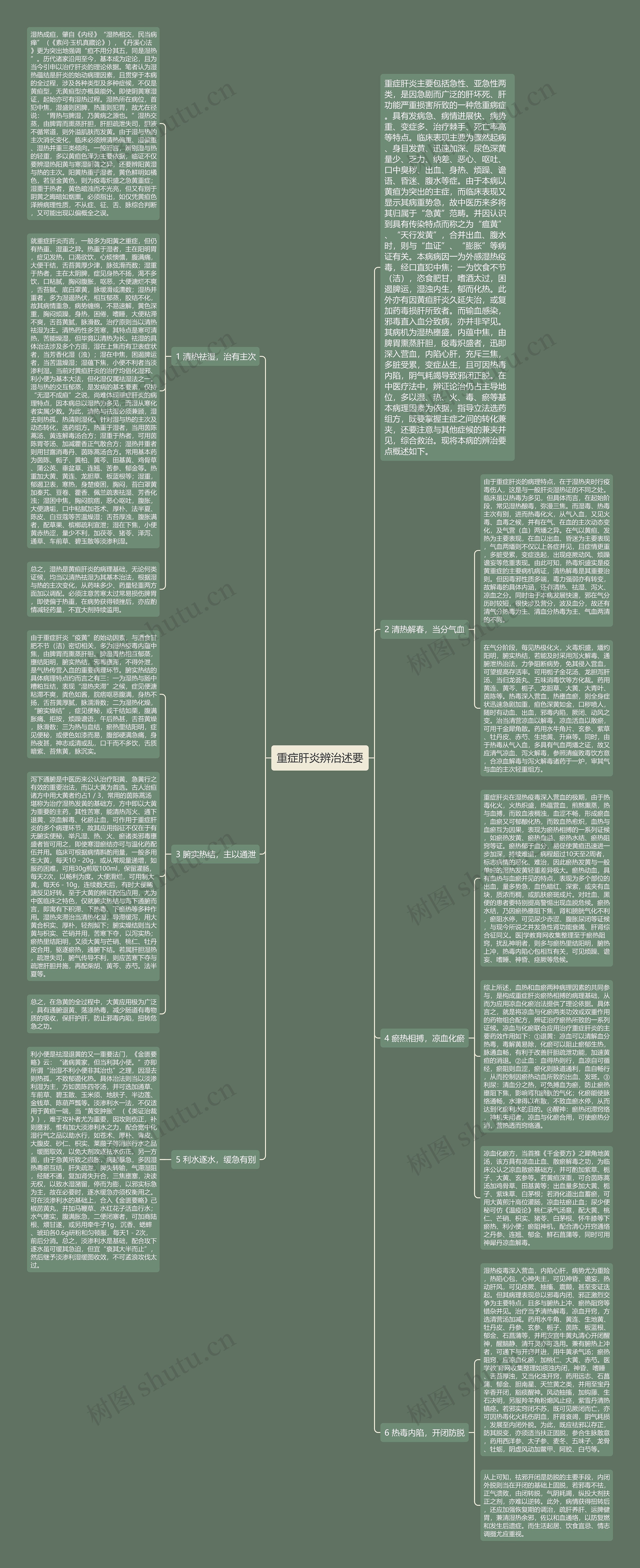 重症肝炎辨治述要思维导图