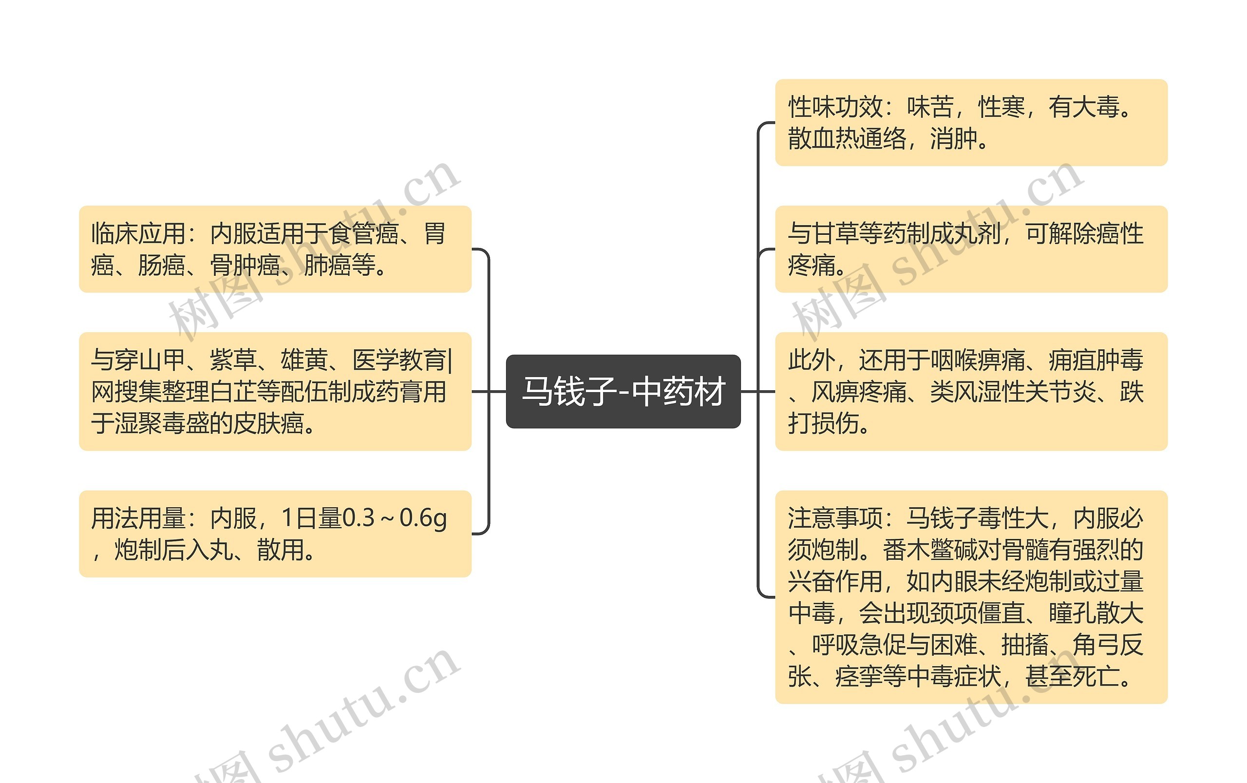 马钱子-中药材 马钱子-中药材