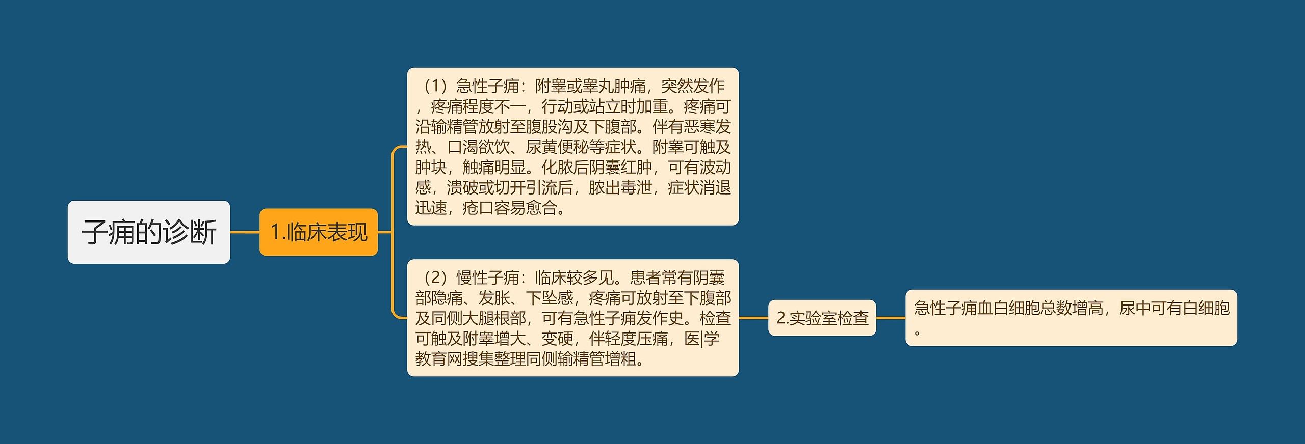 子痈的诊断 子痈的诊断