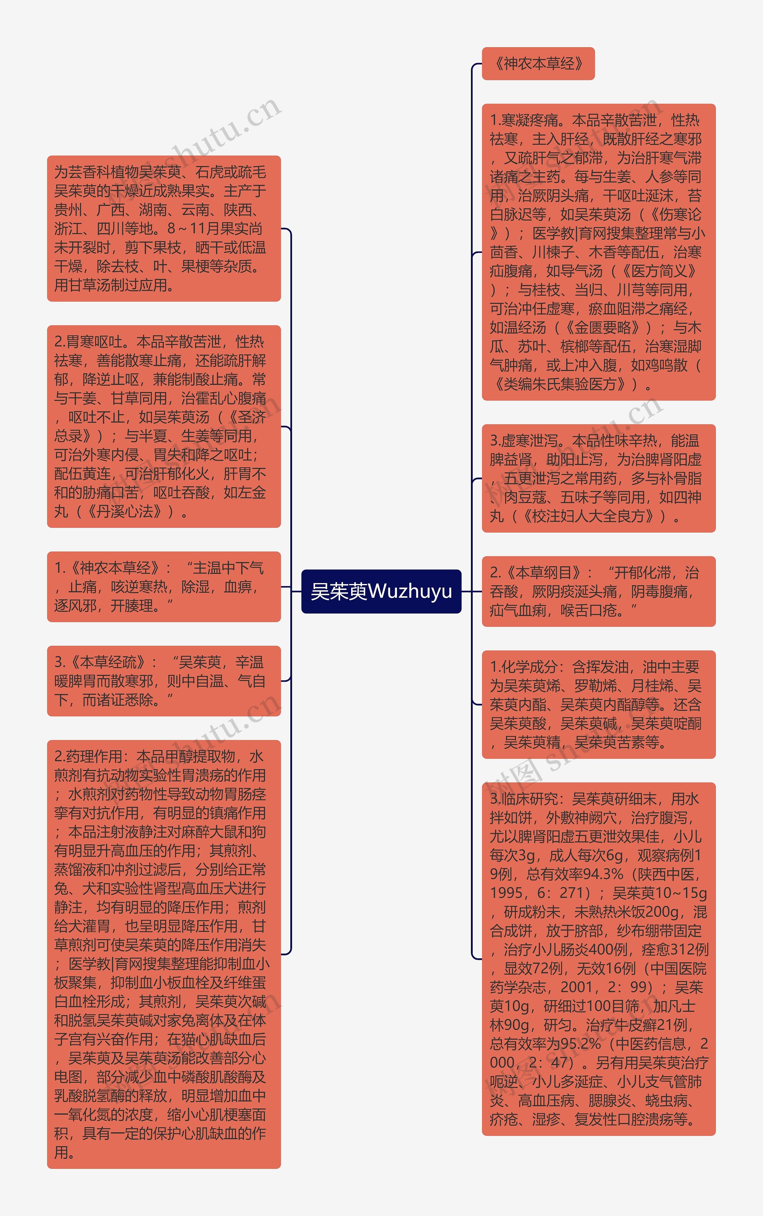 吴茱萸Wuzhuyu思维导图