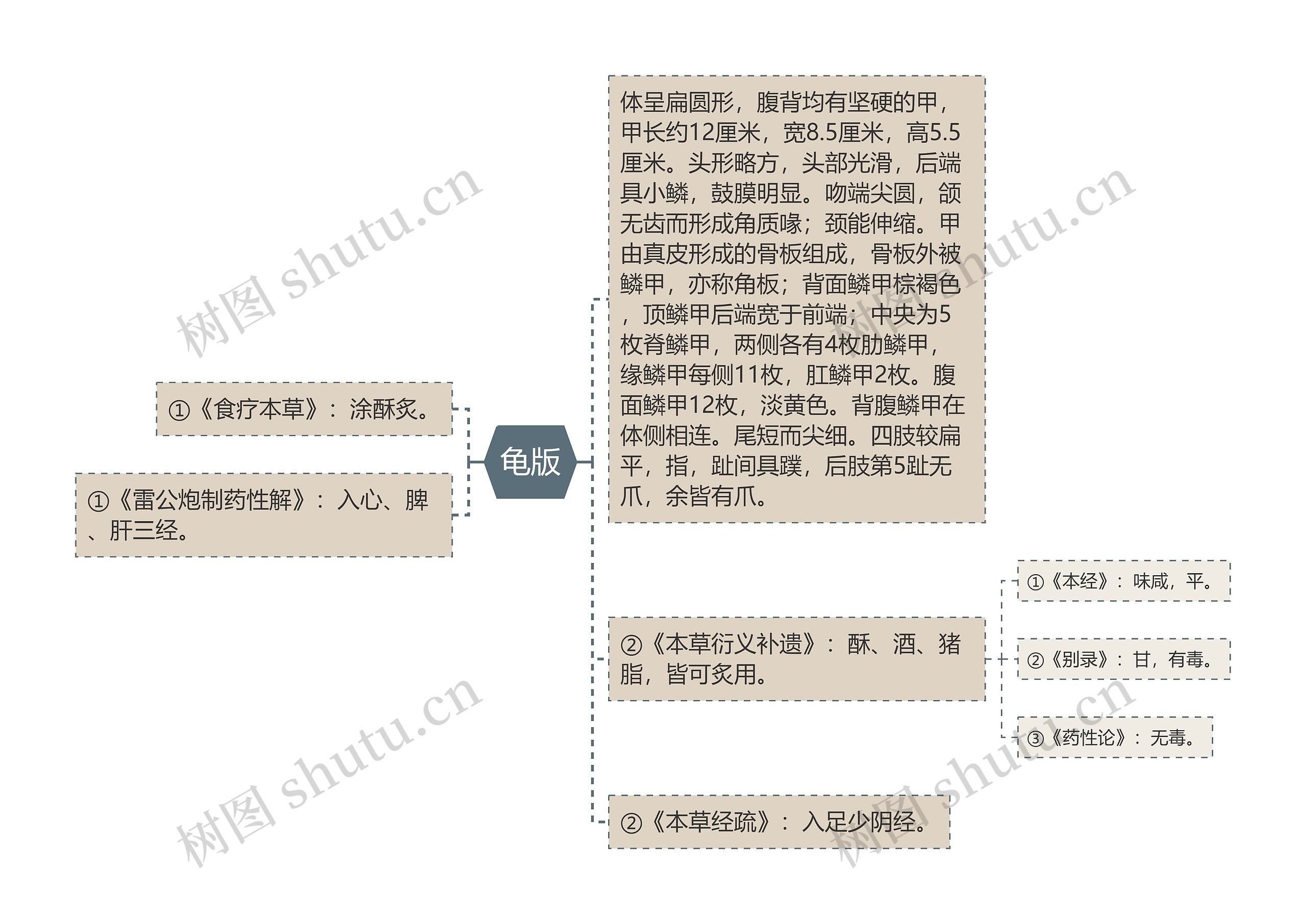 龟版思维导图