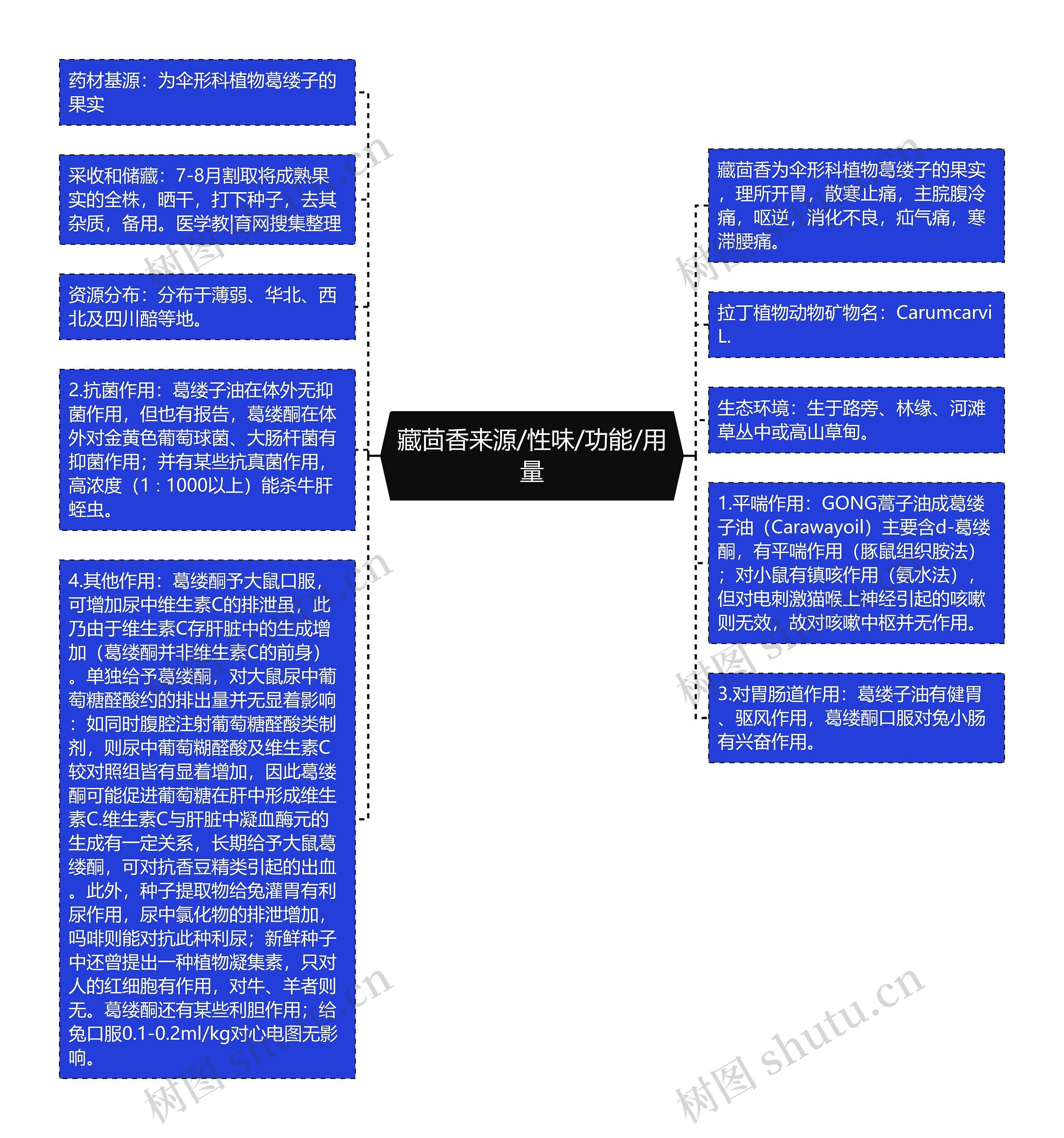 藏茴香来源/性味/功能/用量思维导图