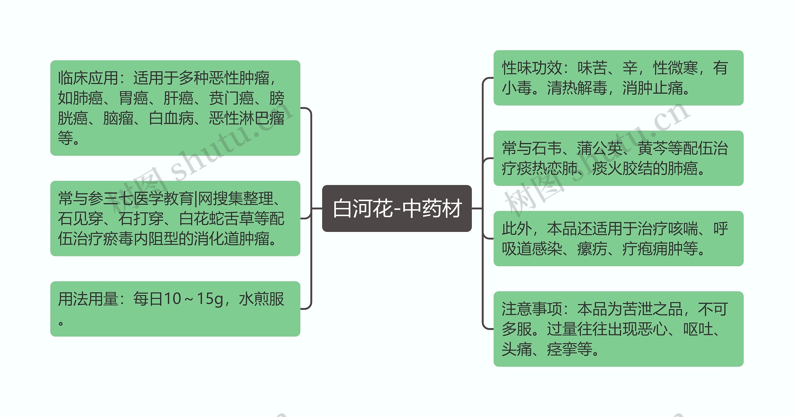 白河花-中药材思维导图