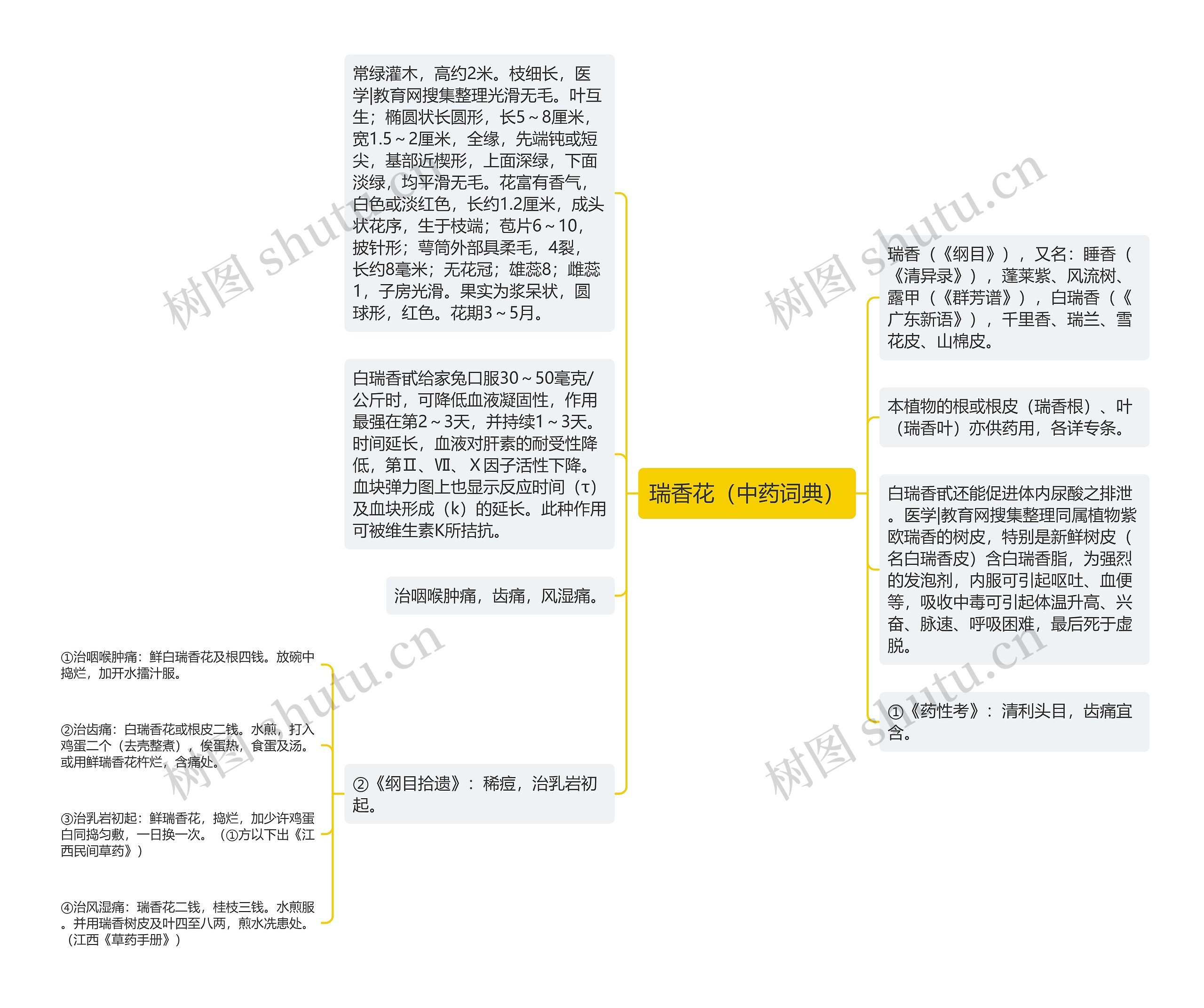 瑞香花（中药词典）思维导图