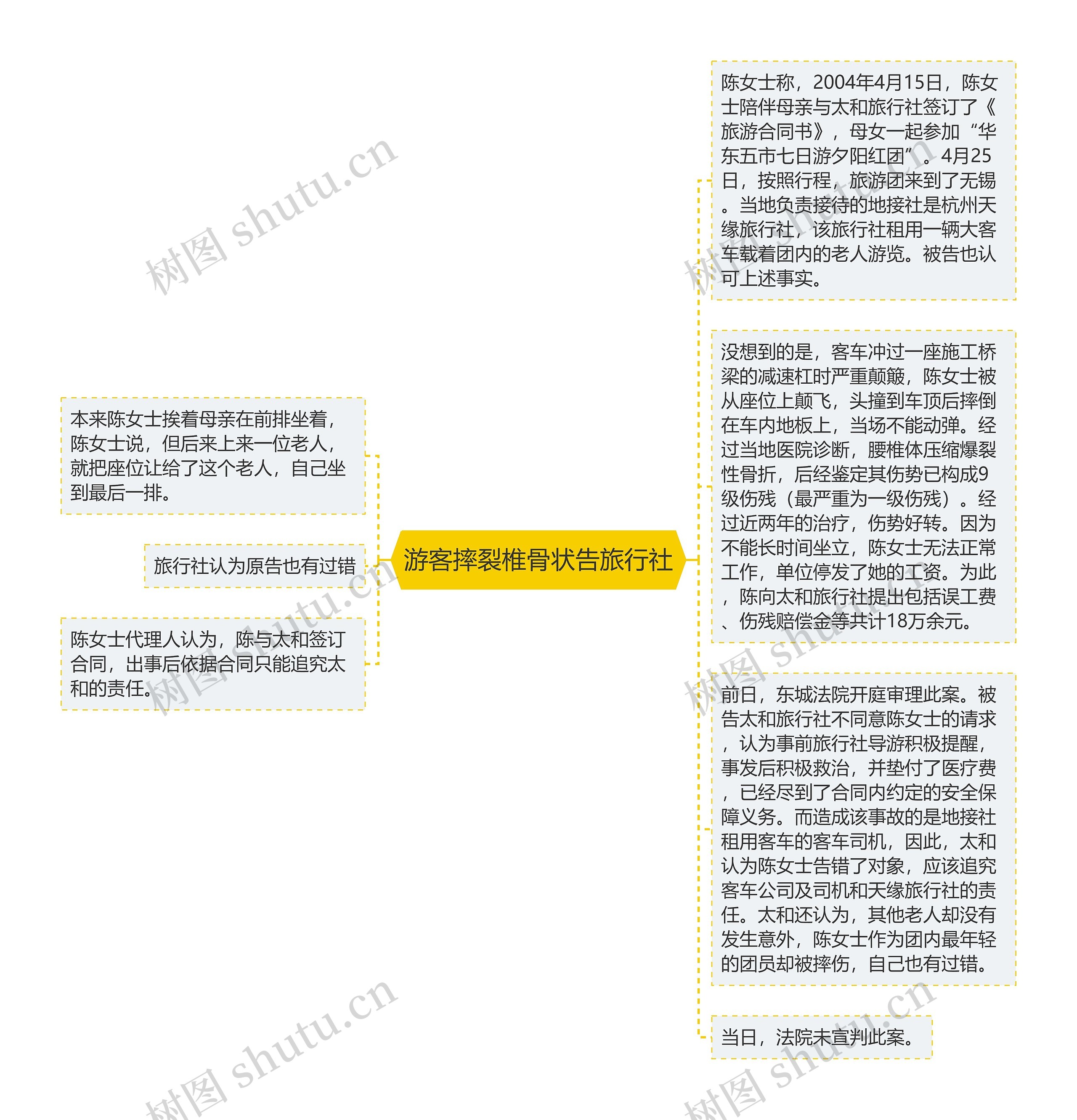 游客摔裂椎骨状告旅行社思维导图