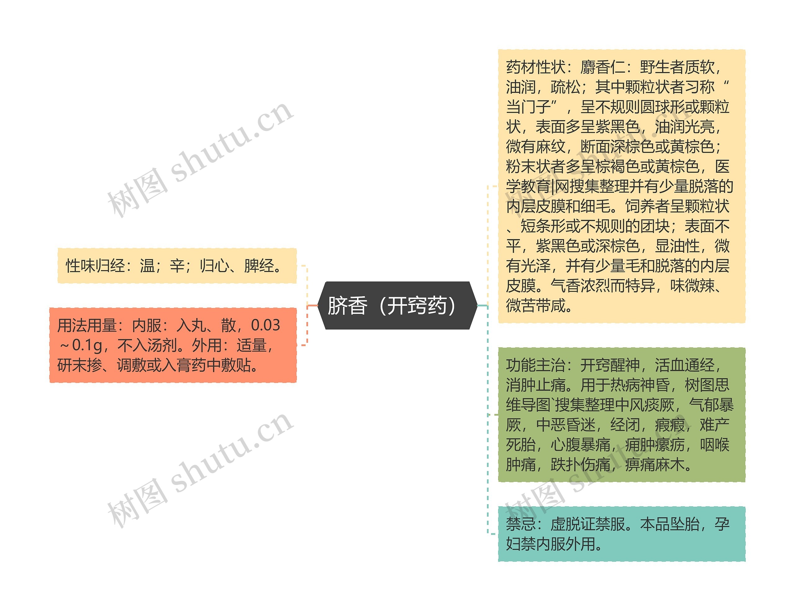 脐香（开窍药）思维导图