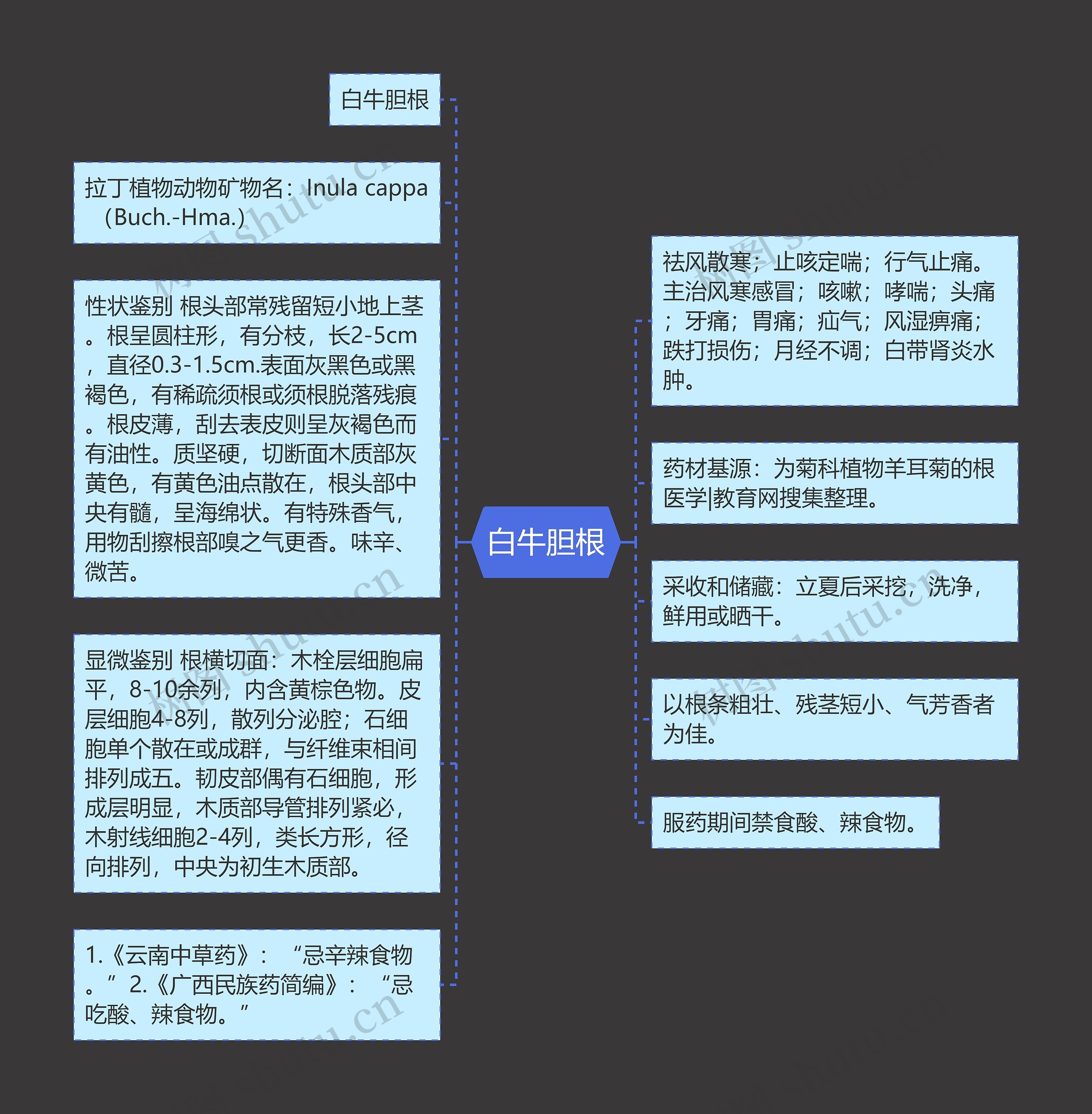 白牛胆根 白牛胆根