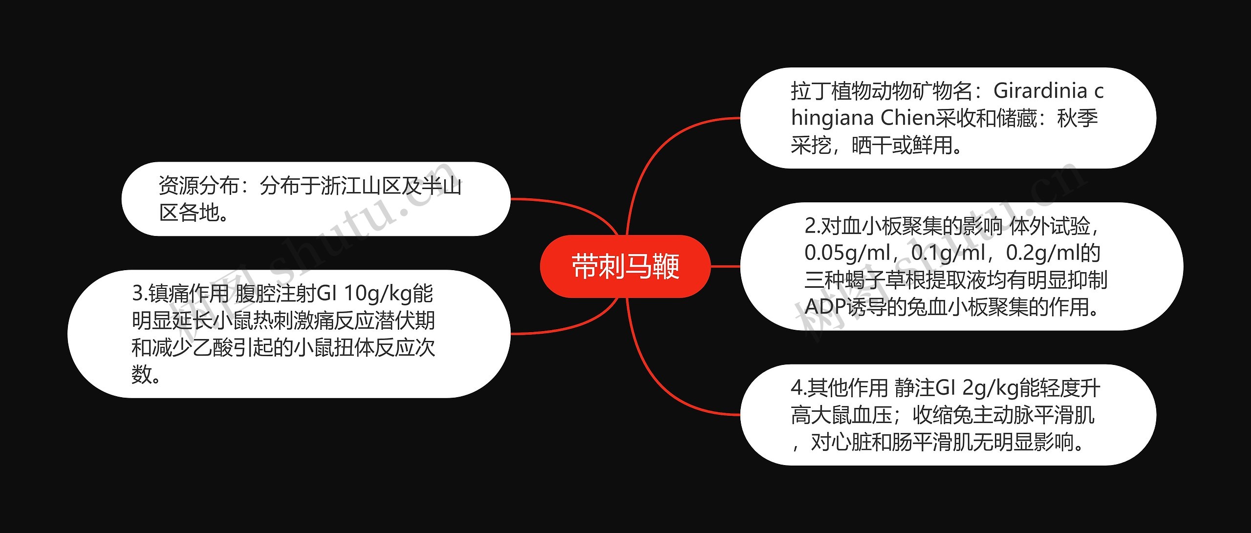 带刺马鞭思维导图