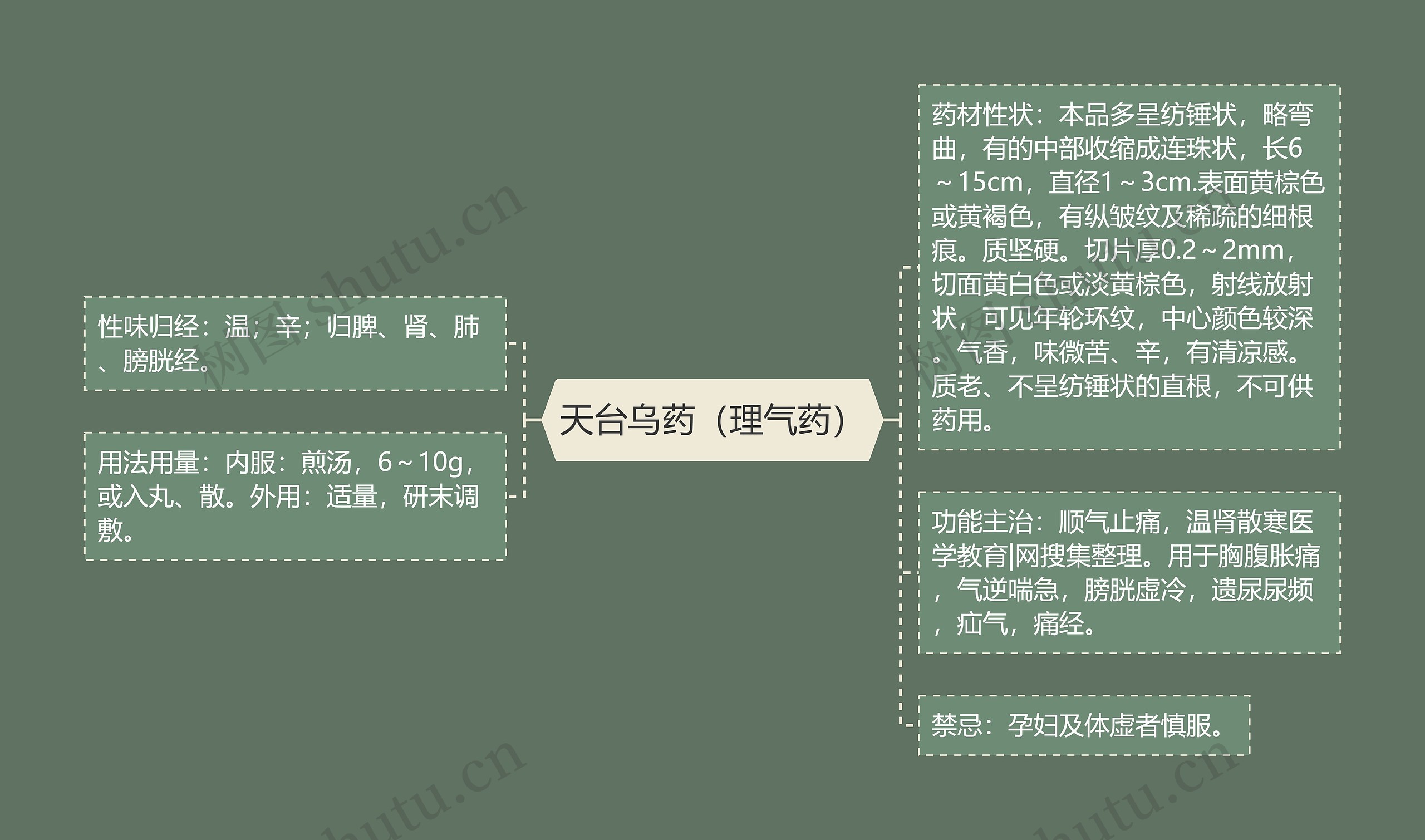 天台乌药（理气药）思维导图