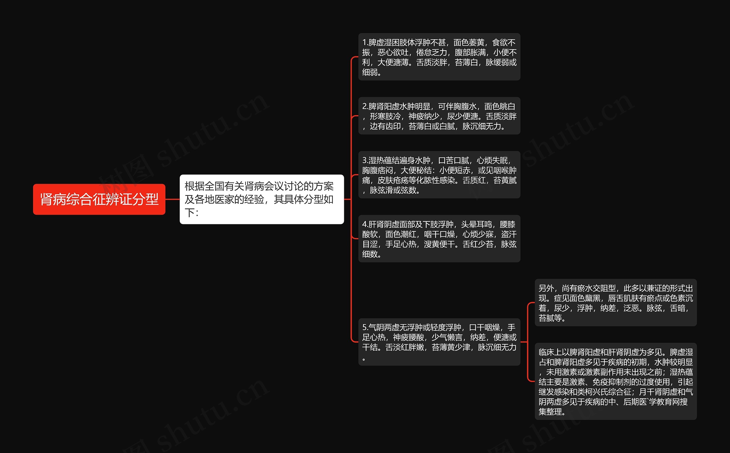 肾病综合征辨证分型思维导图