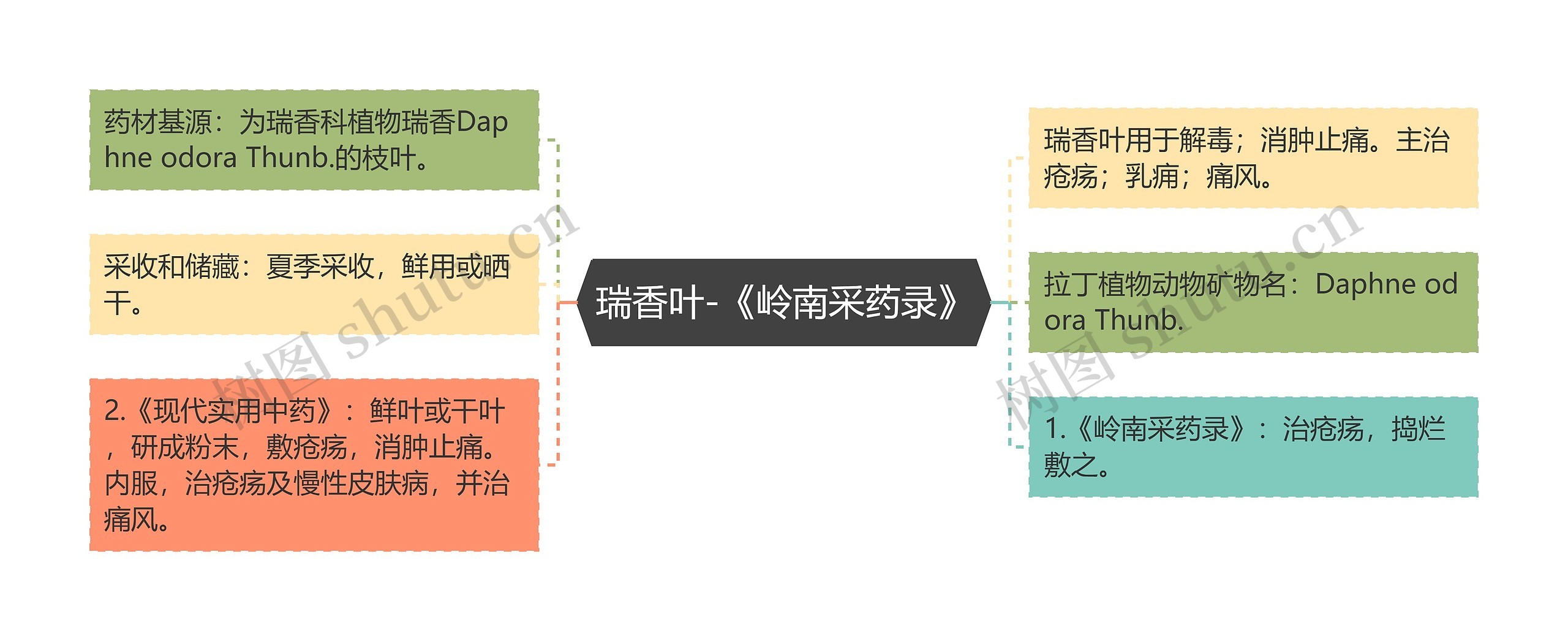 瑞香叶-《岭南采药录》思维导图