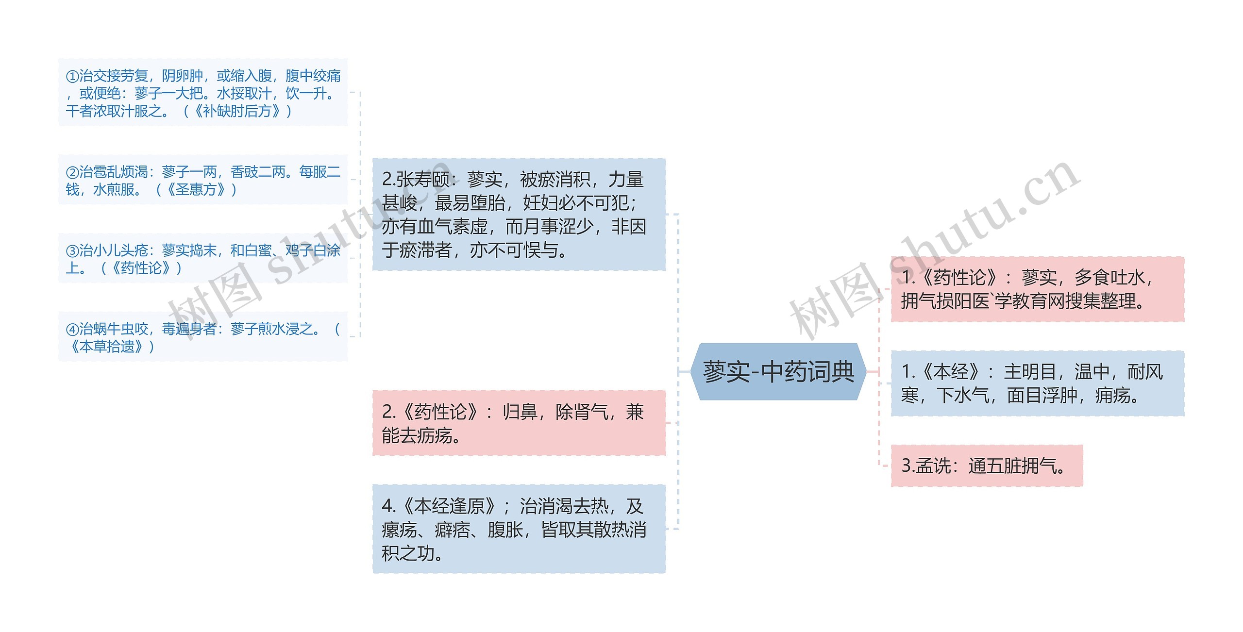 蓼实-中药词典思维导图