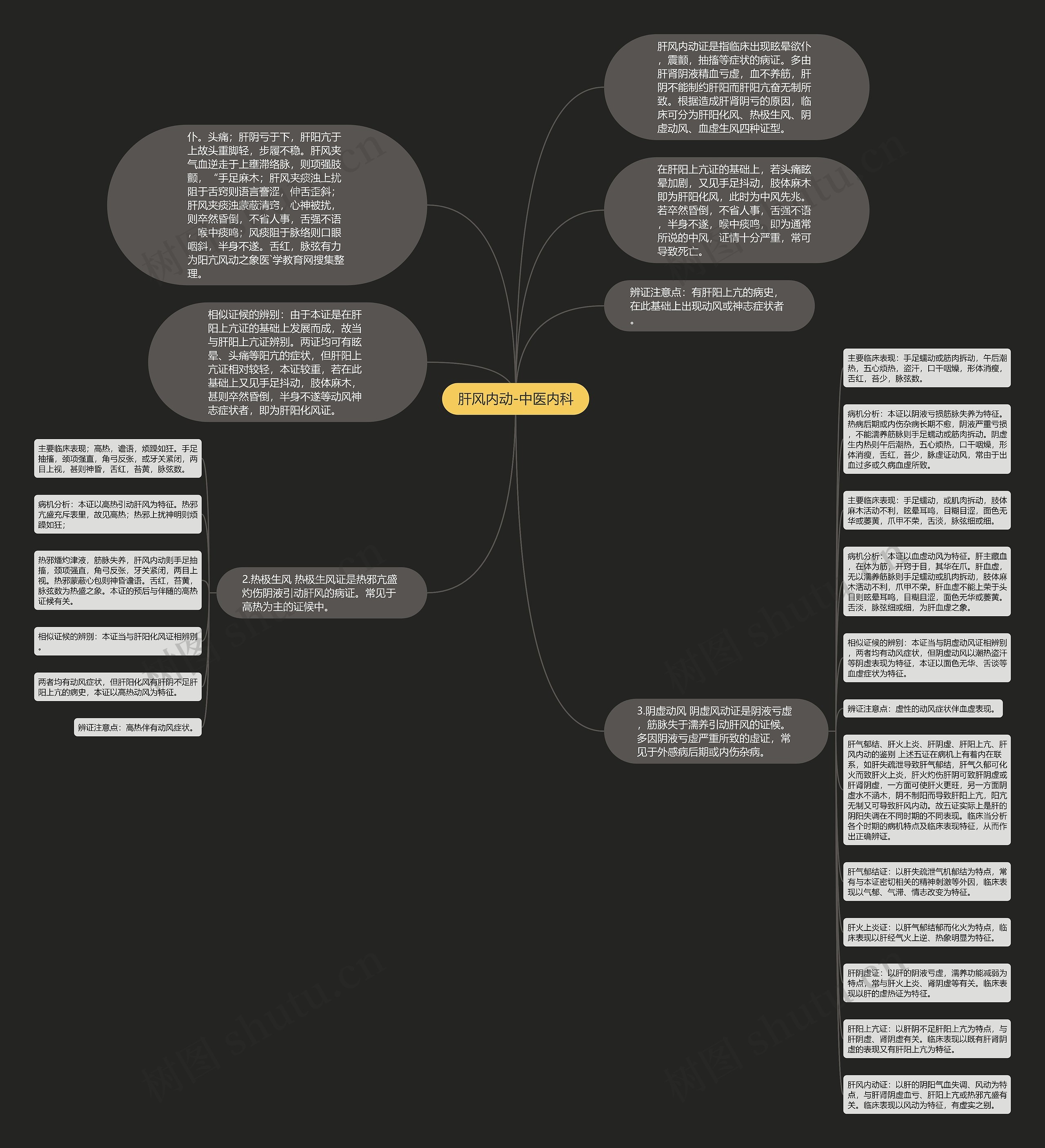 肝风内动-中医内科思维导图