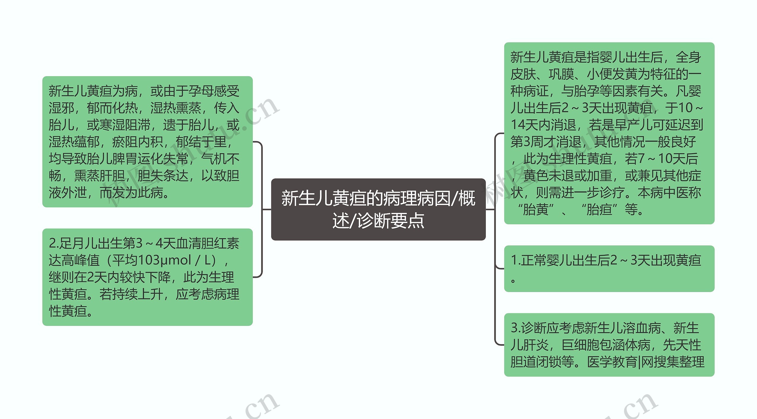 新生儿黄疸的病理病因/概述/诊断要点