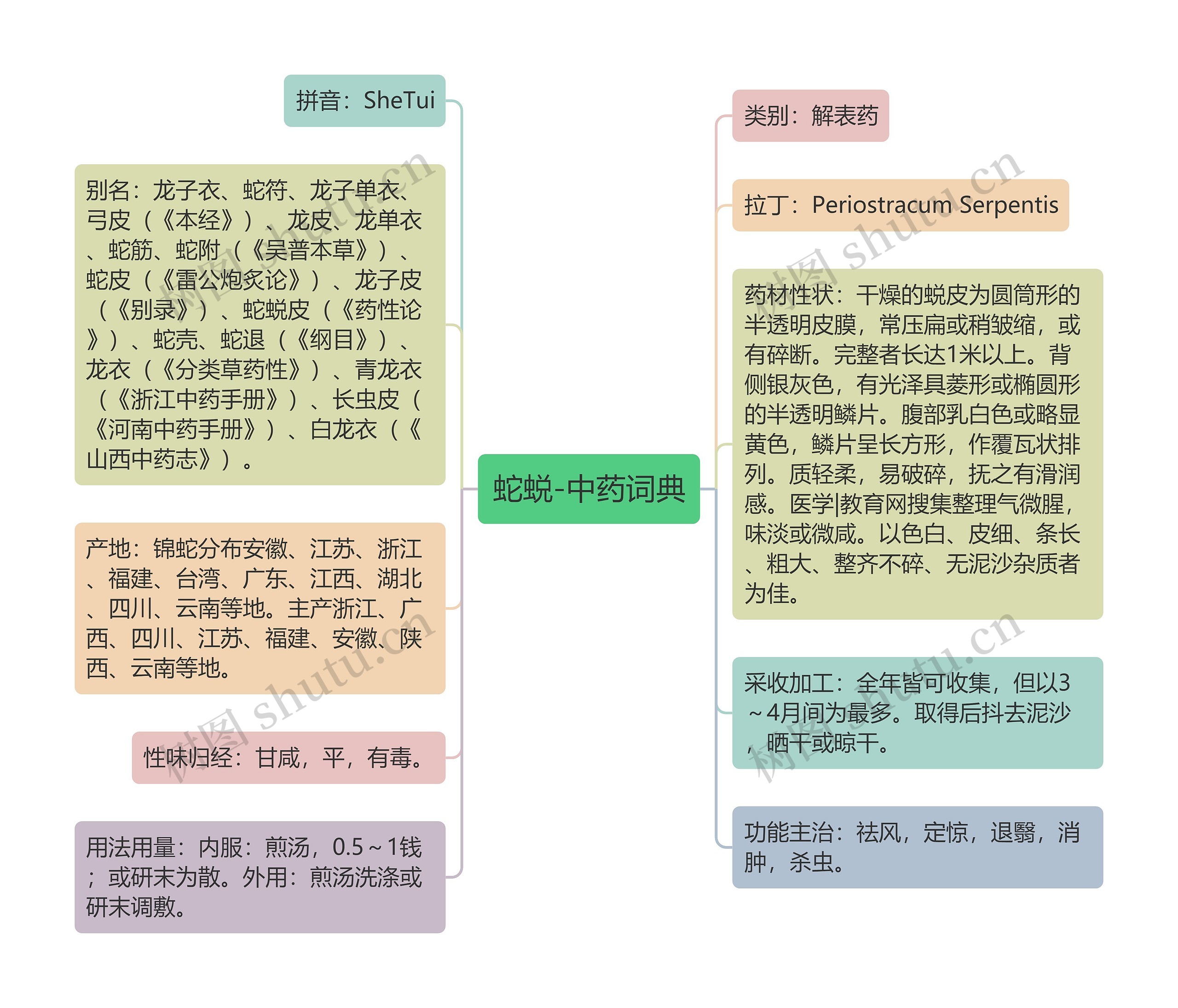 蛇蜕-中药词典 蛇蜕-中药词典