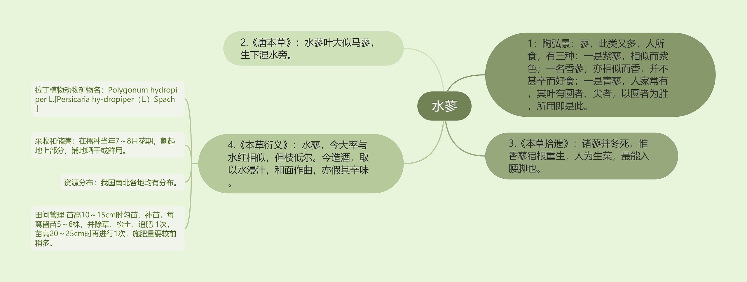 水蓼思维导图