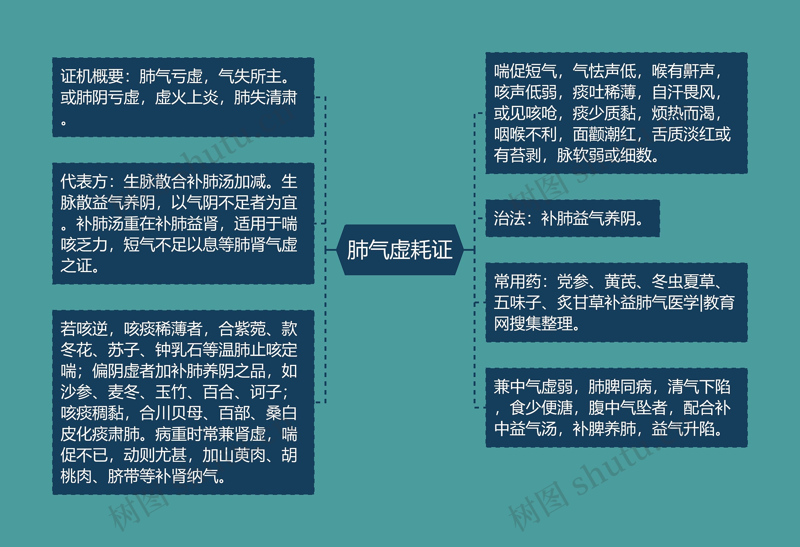 肺气虚耗证思维导图