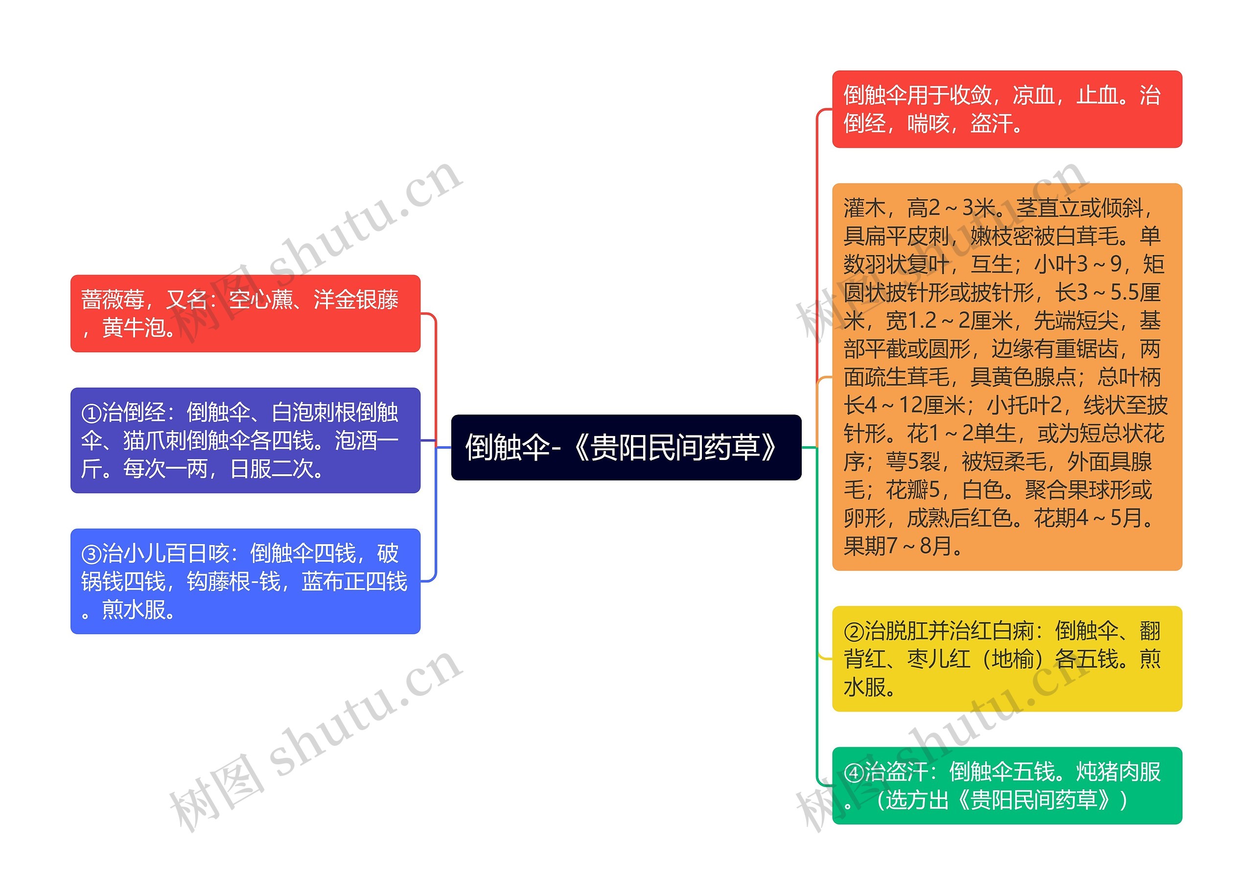 倒触伞-《贵阳民间药草》