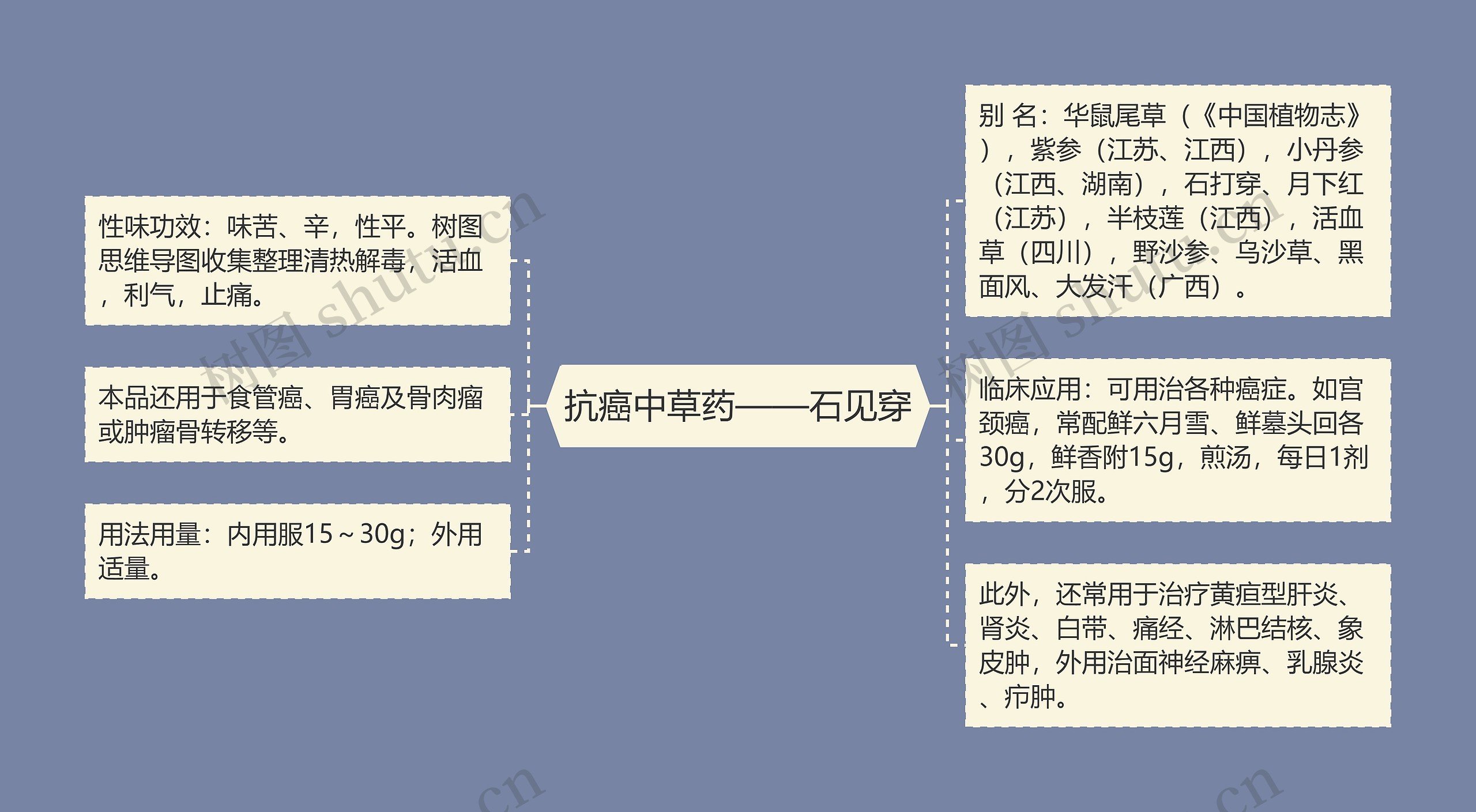 抗癌中草药——石见穿