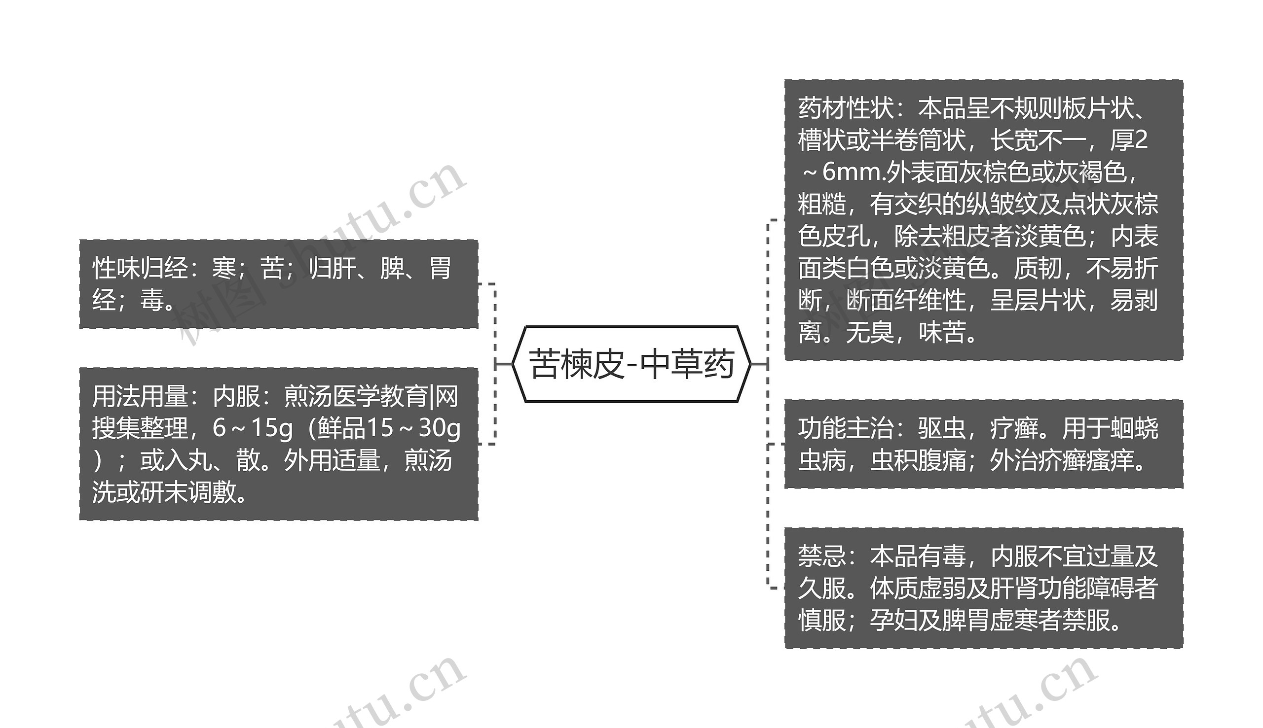 苦楝皮-中草药思维导图