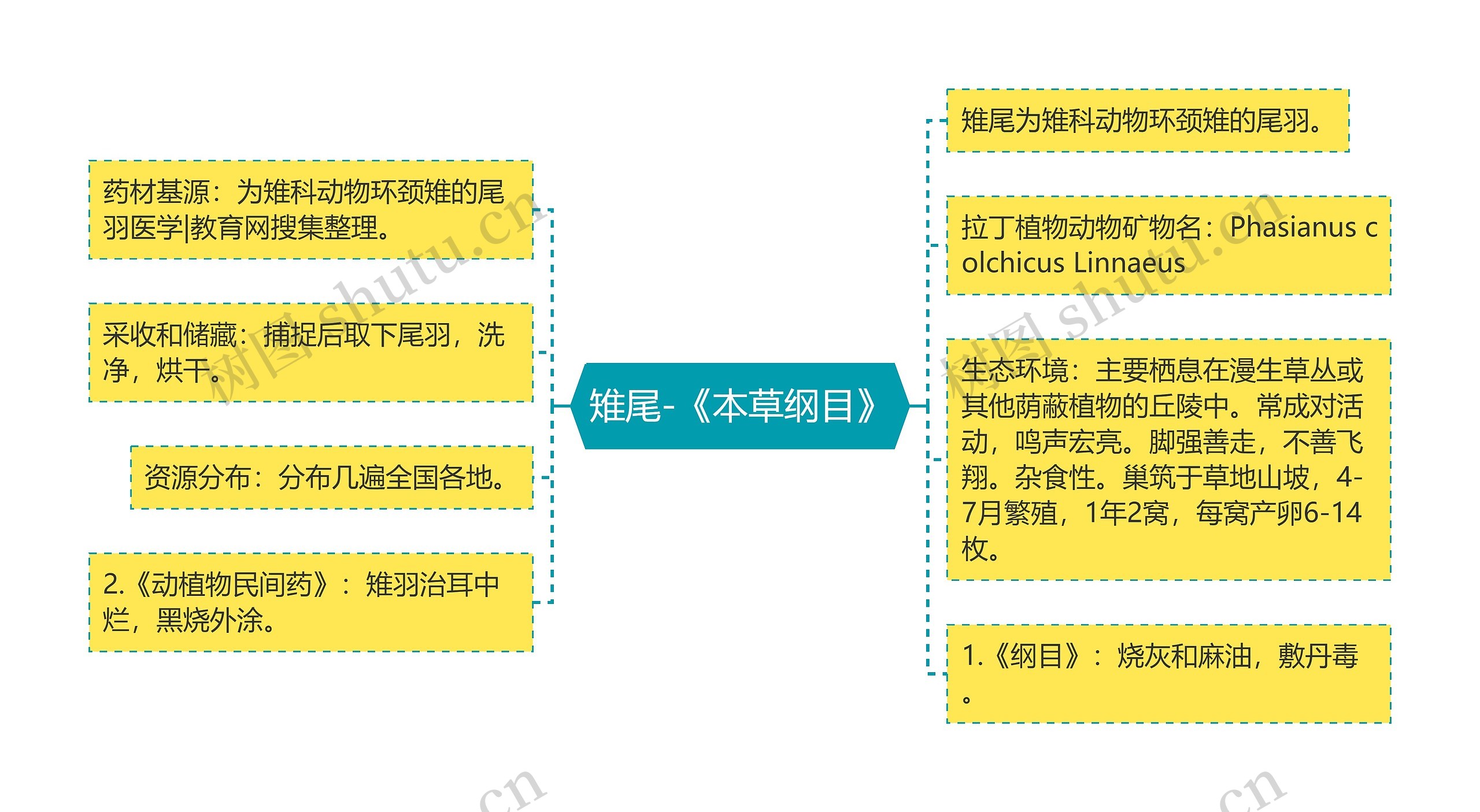雉尾-《本草纲目》 雉尾-《本草纲目》