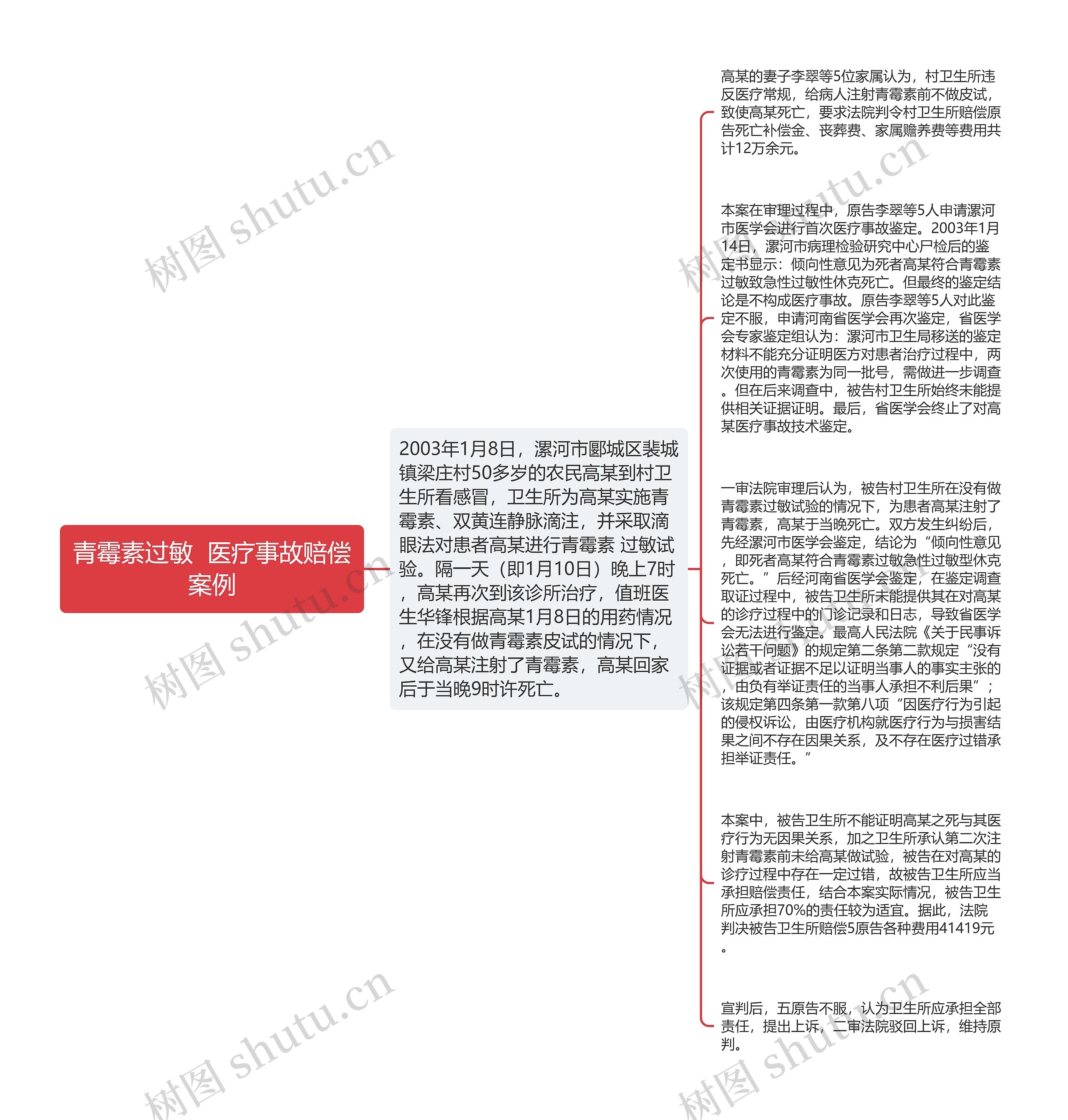 青霉素过敏  医疗事故赔偿案例思维导图