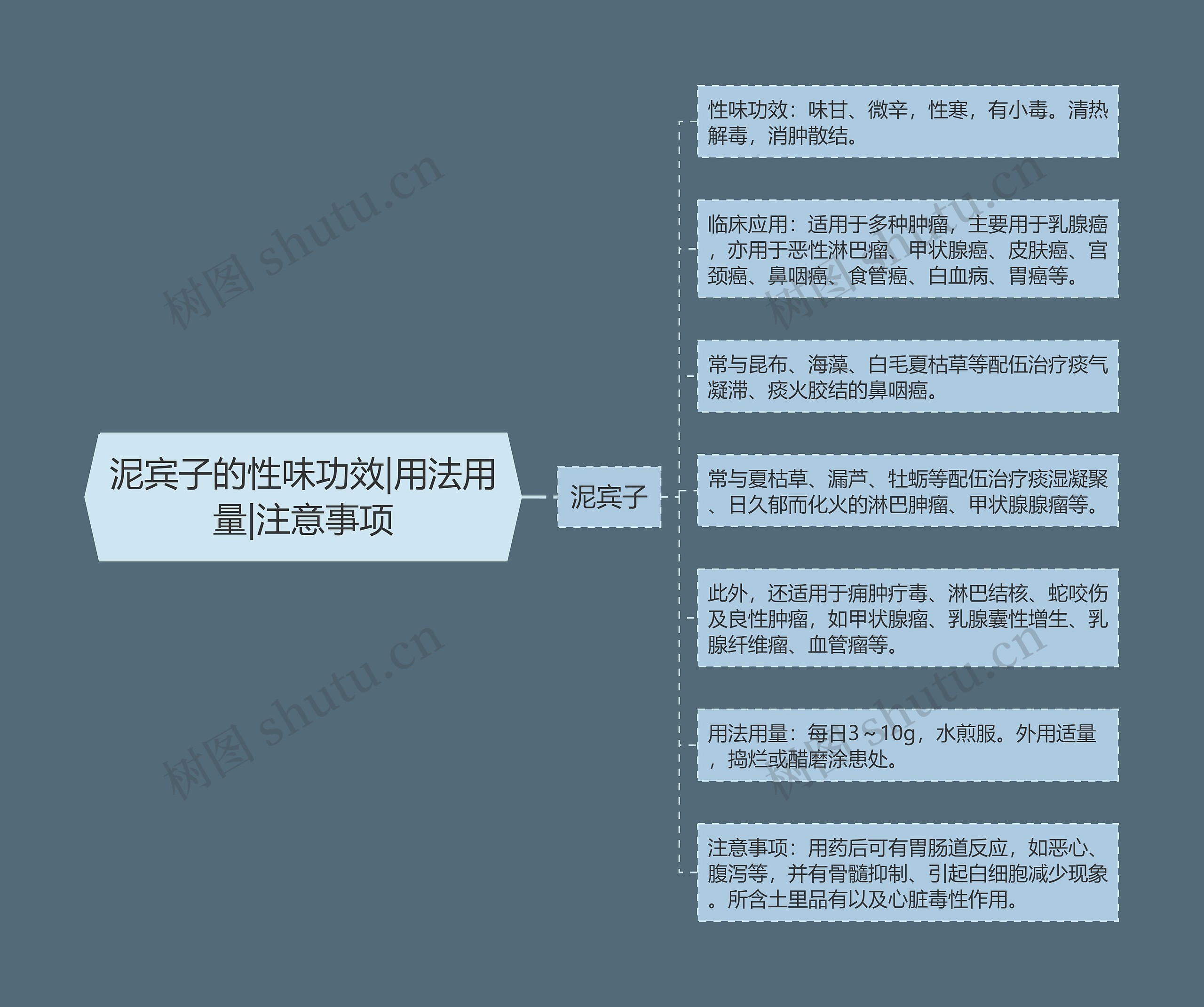 泥宾子的性味功效|用法用量|注意事项 泥宾子的性味功效|用法用量|注意事项