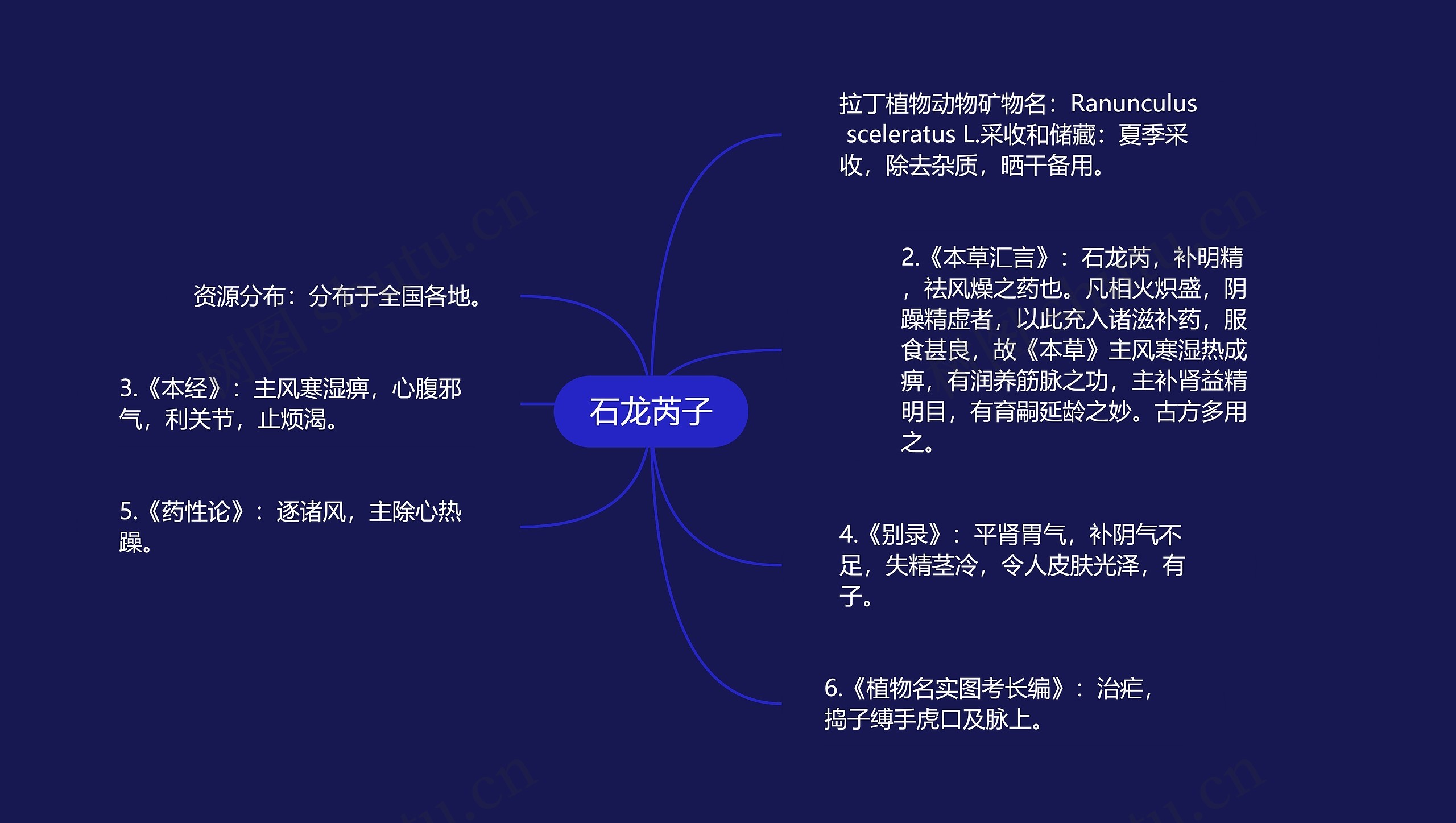 石龙芮子思维导图