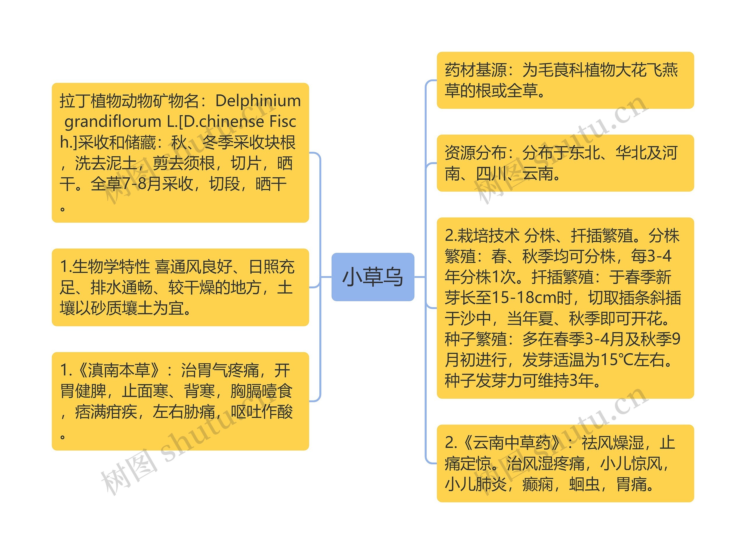 小草乌思维导图